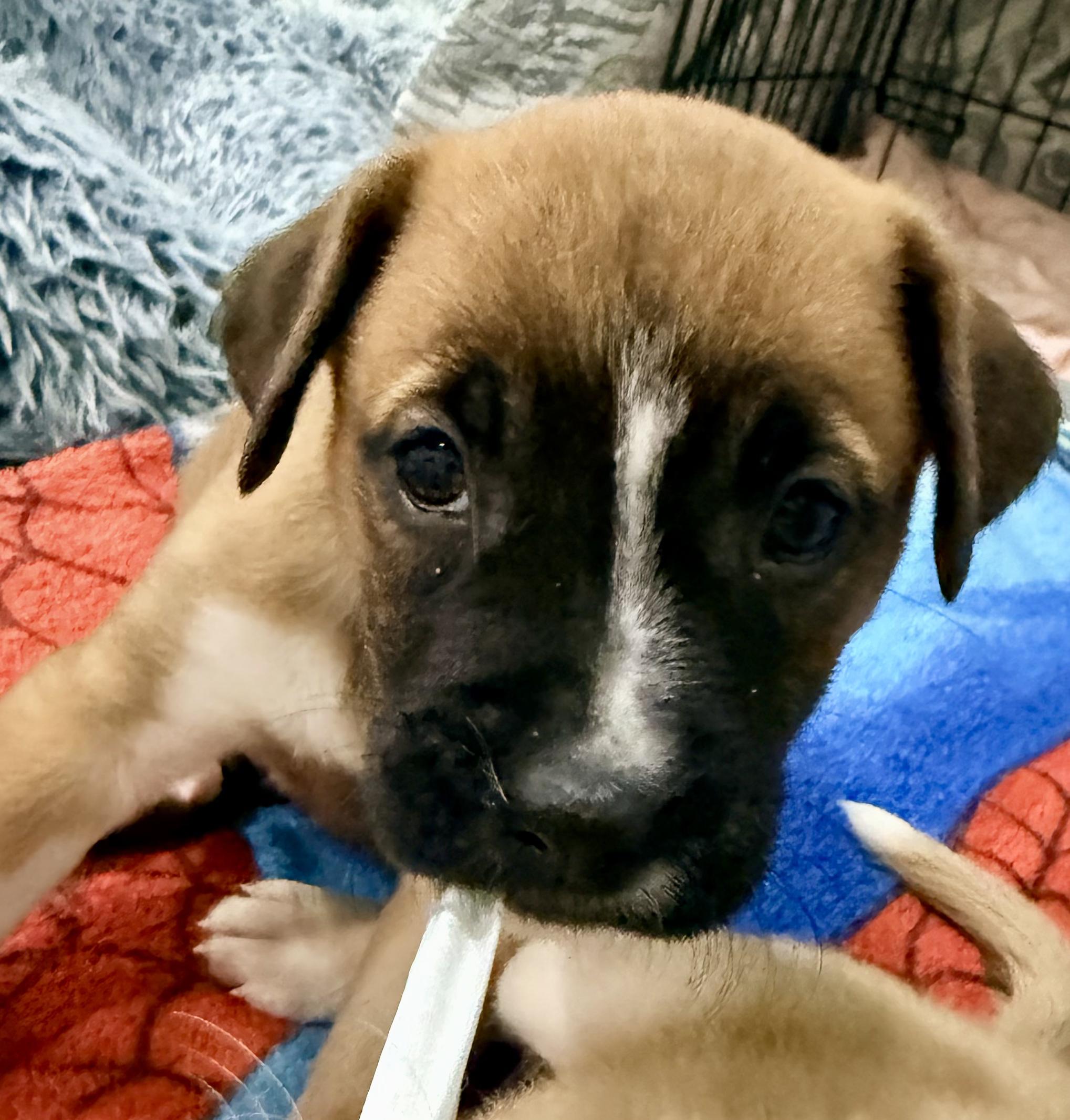 Scrabble thumbnail 2