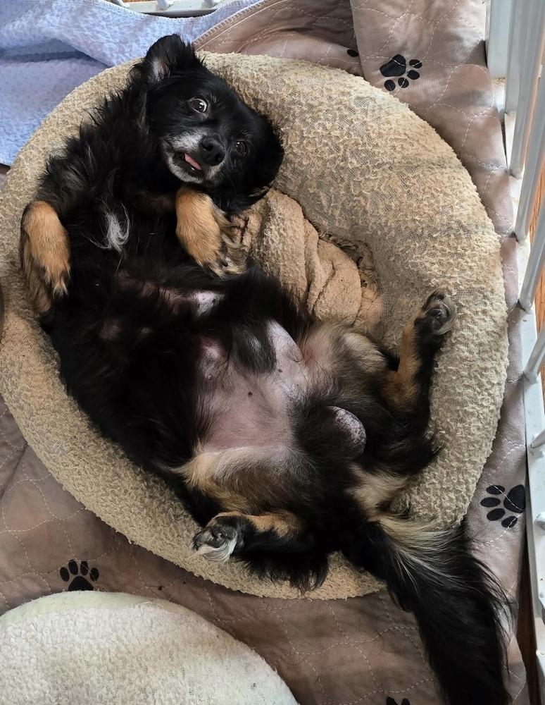 Nestle — thumbnail 2