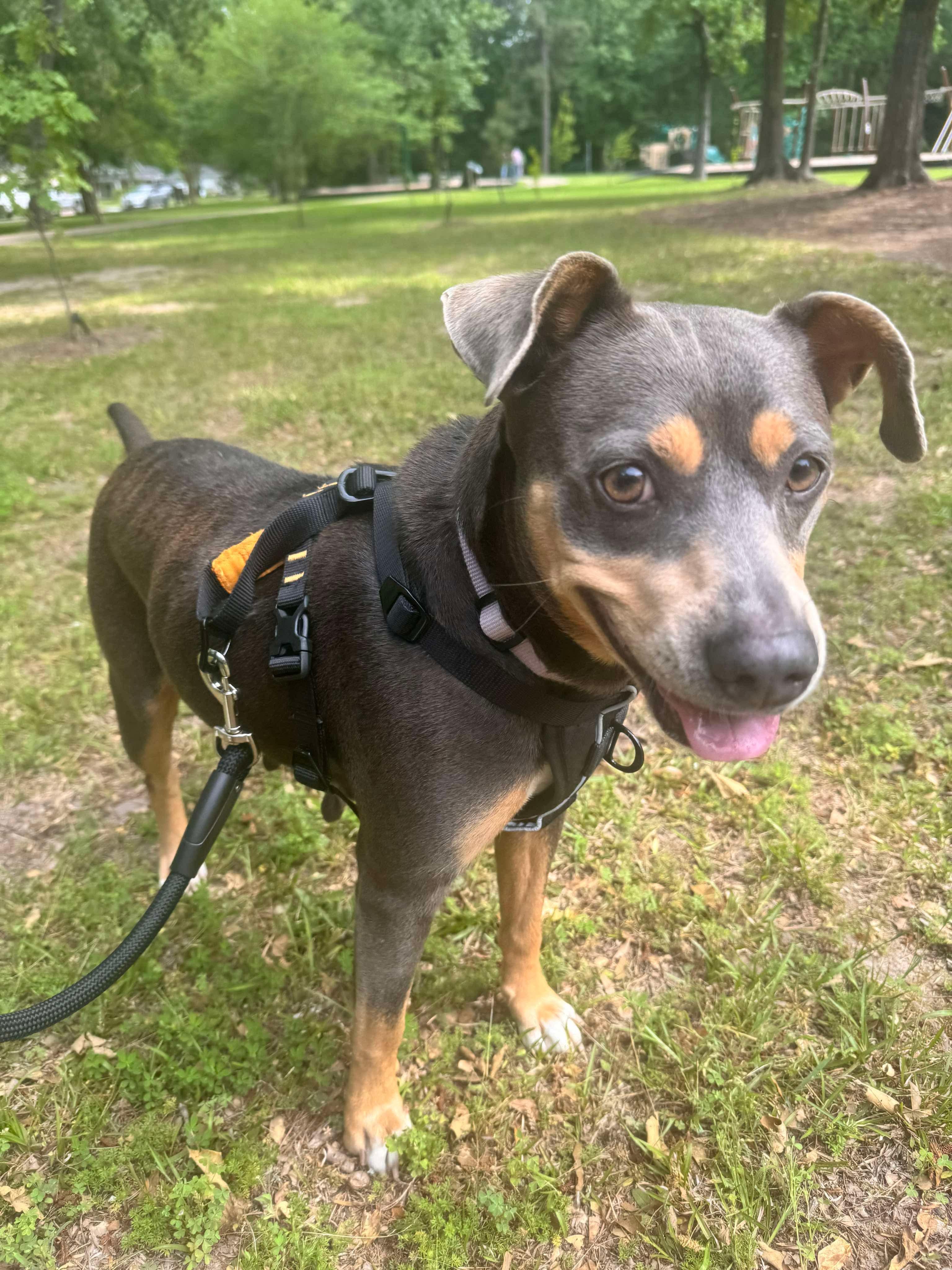 Little Debbie thumbnail 5