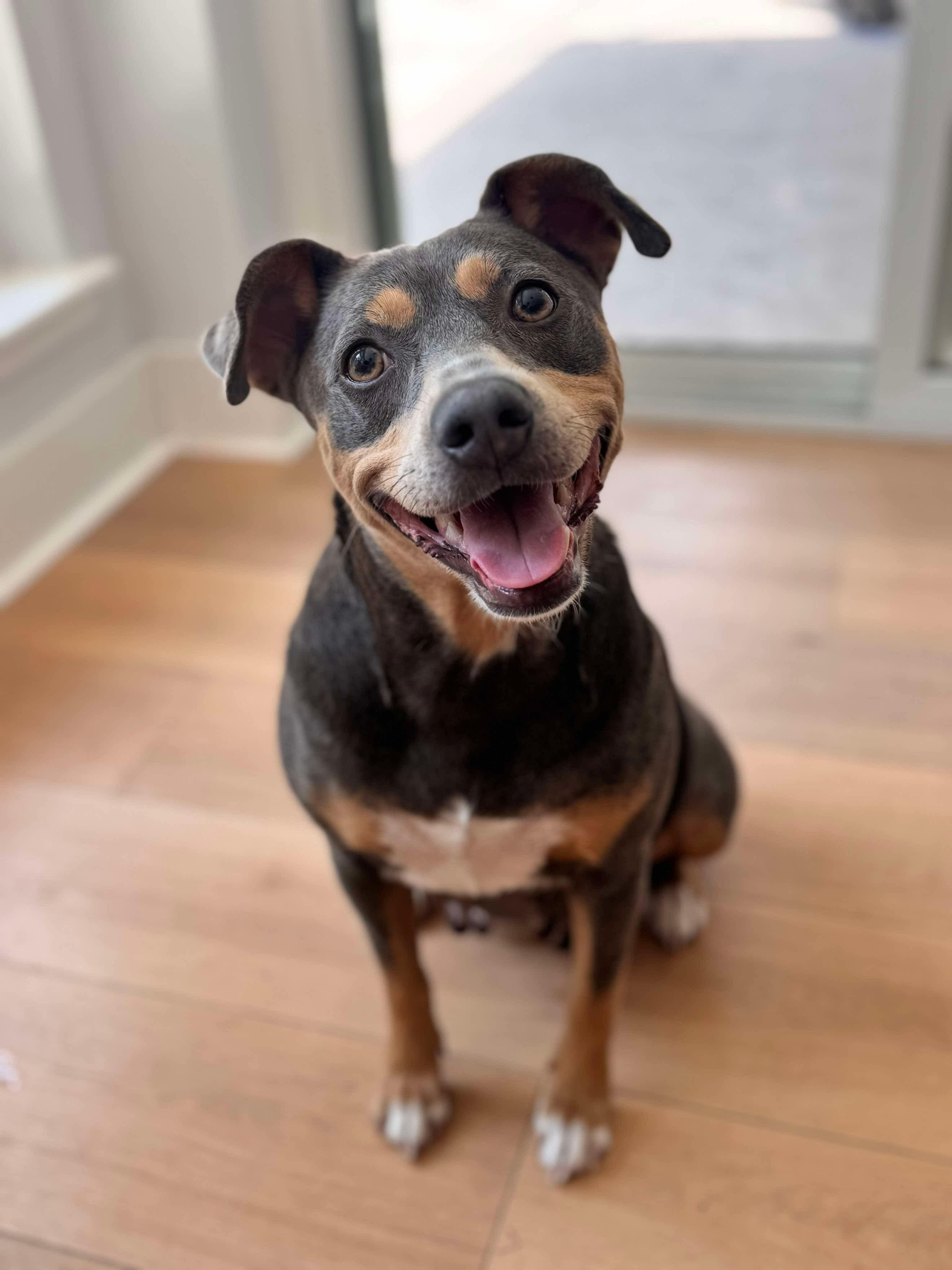 Little Debbie thumbnail 4