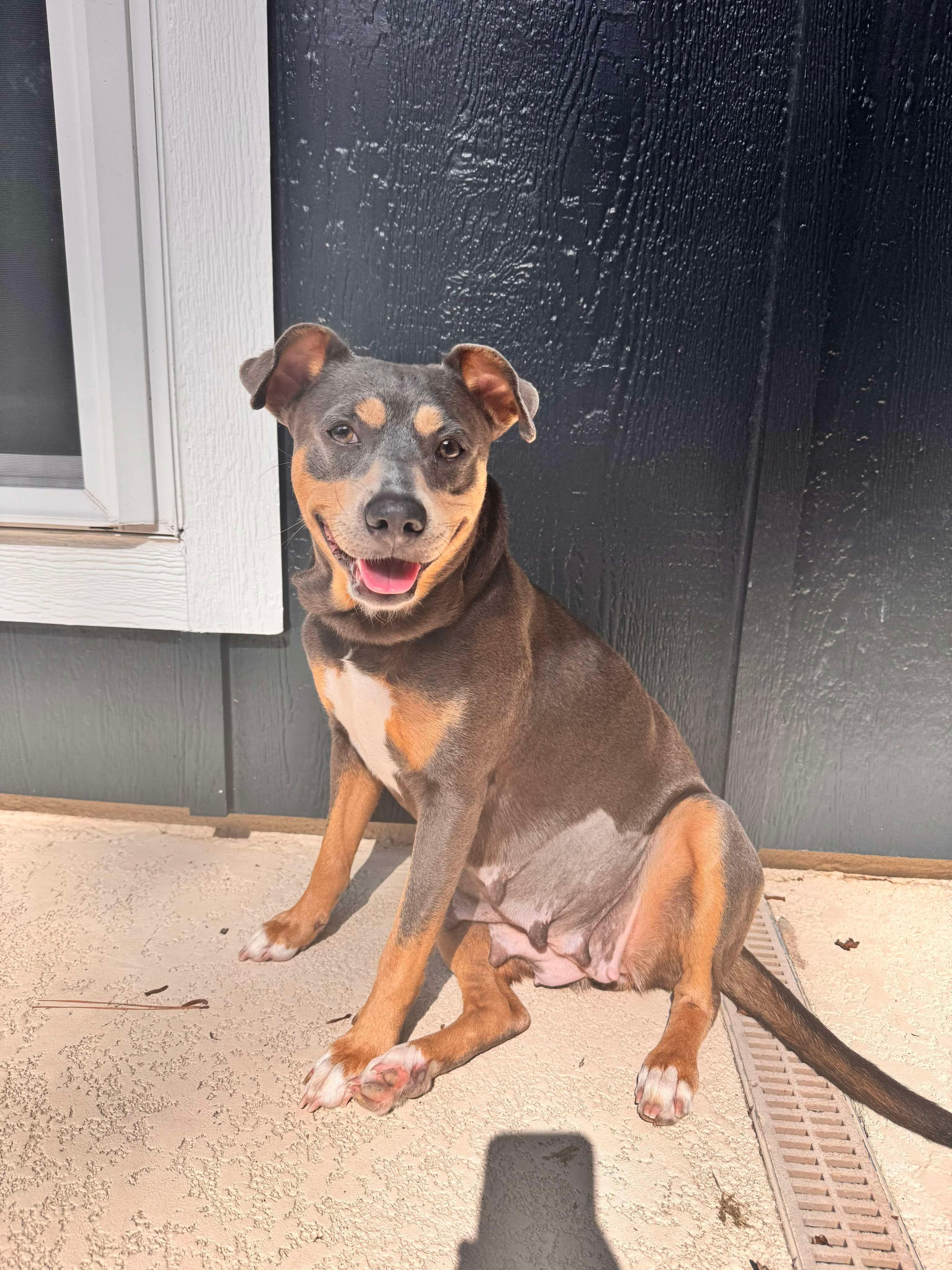 Little Debbie thumbnail 6