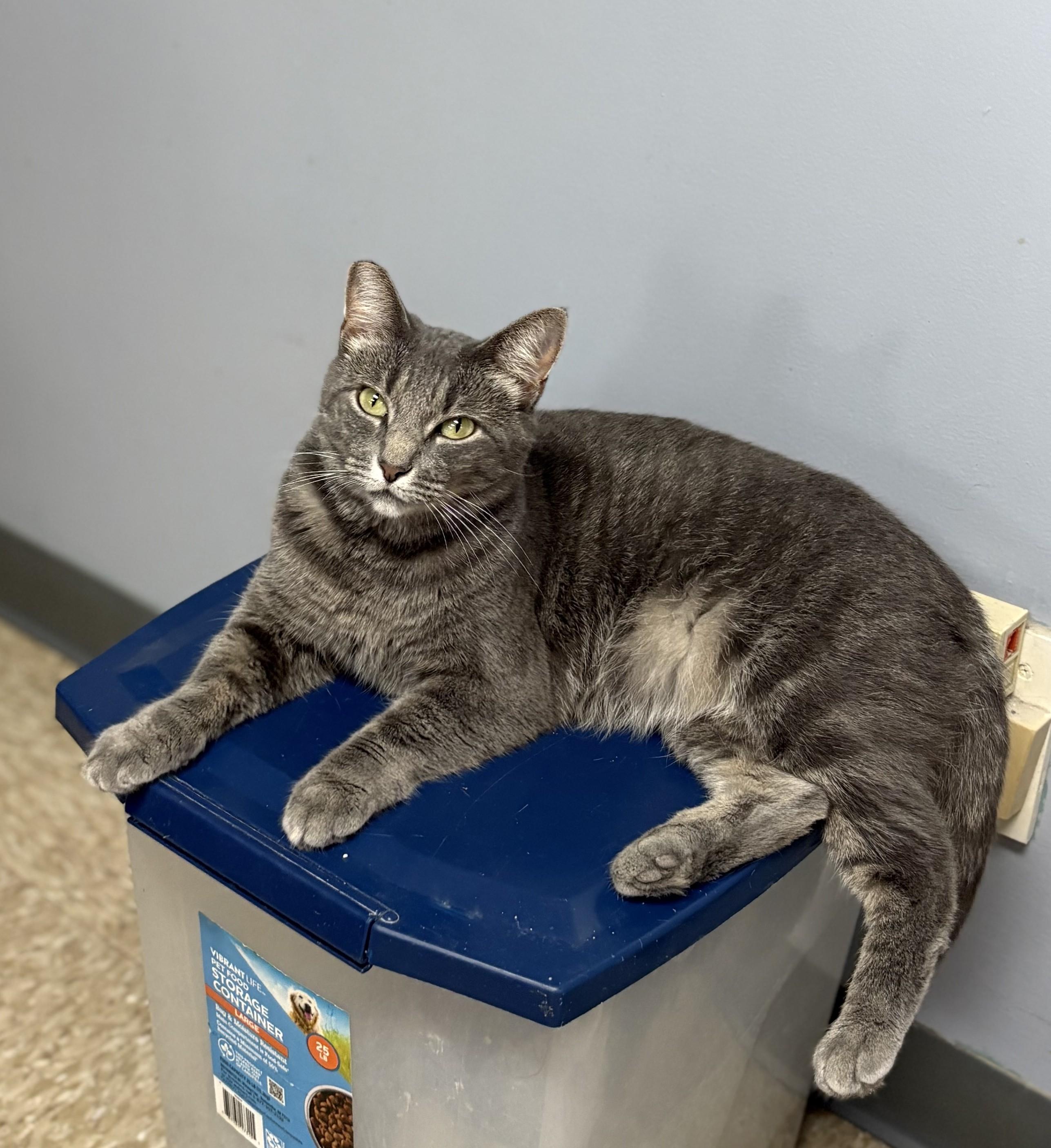 Tacie — thumbnail 6