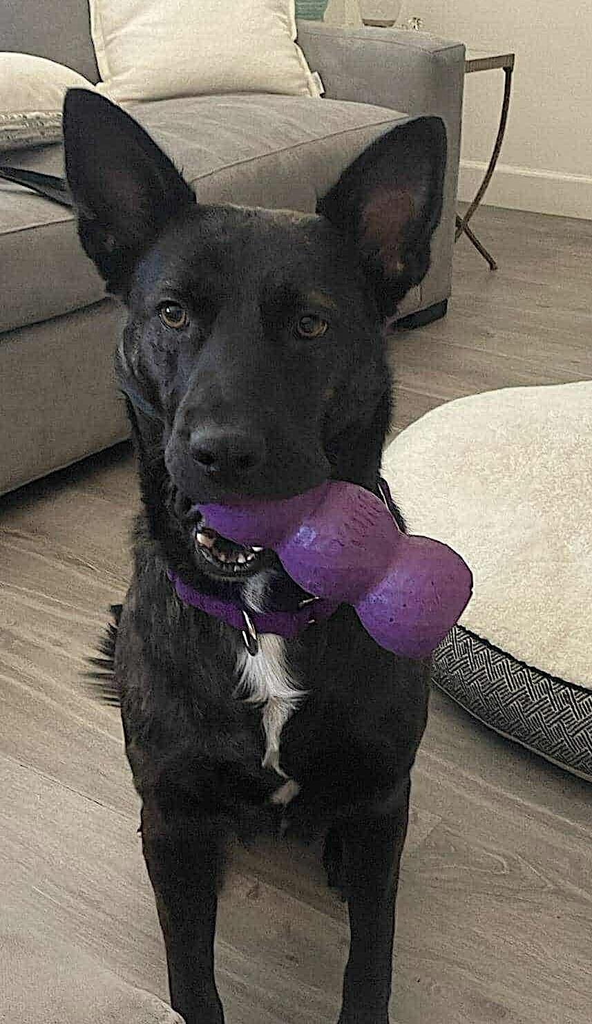 Donna — thumbnail 2