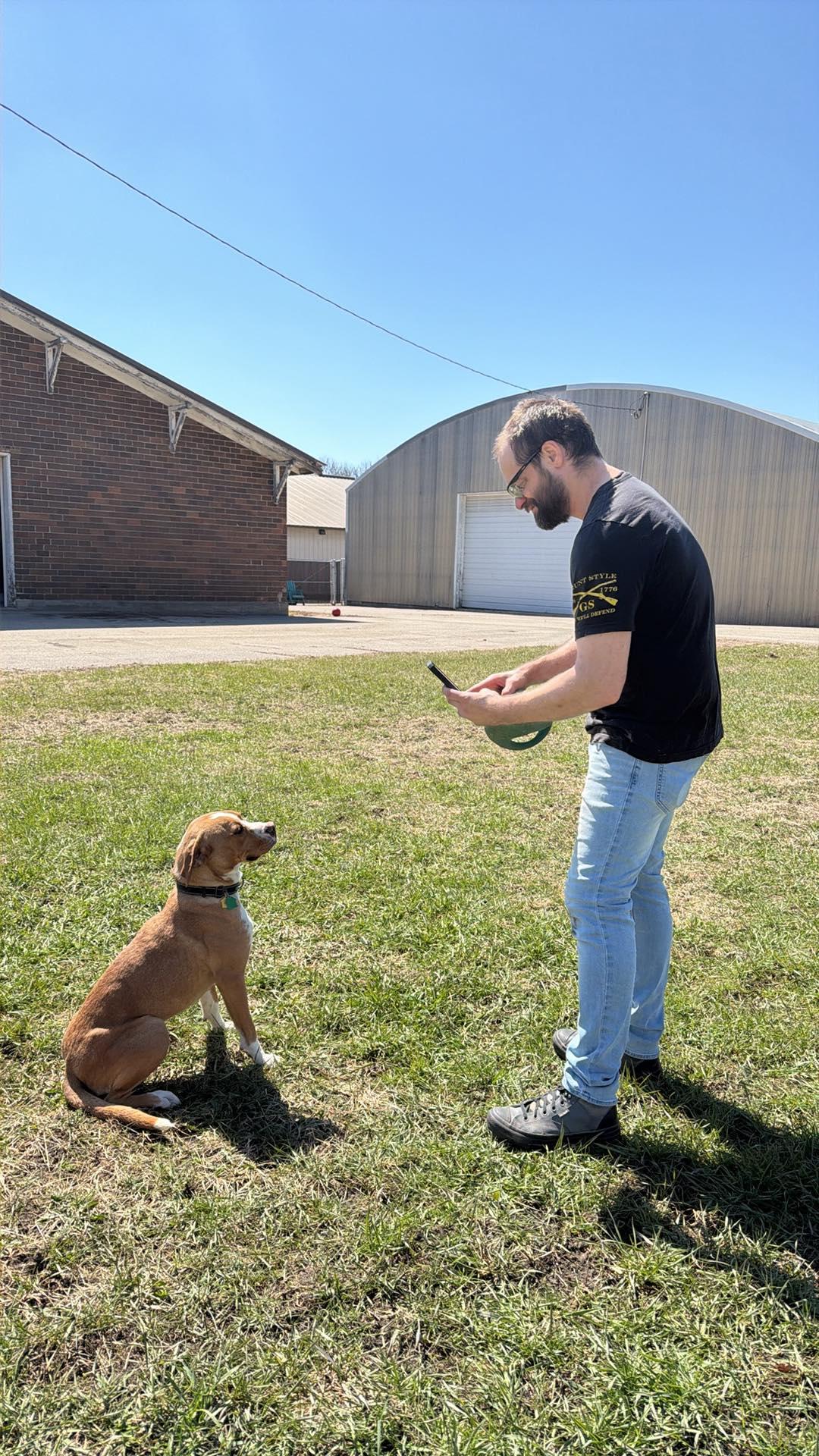 Enlarge Johnny - FOSTER OR ADOPT ME!!, a Adoptable Boxer in Shakopee, MN image 2/3