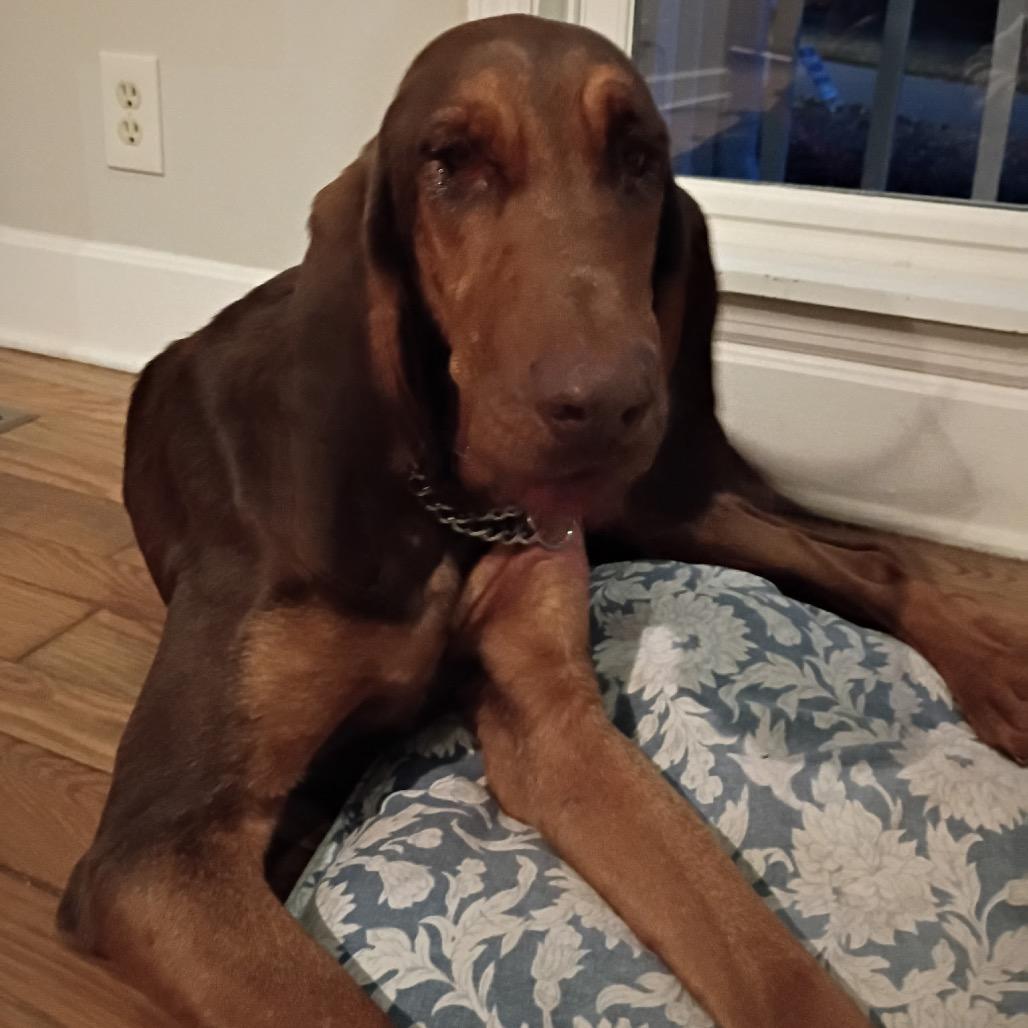 Charlotte thumbnail 2