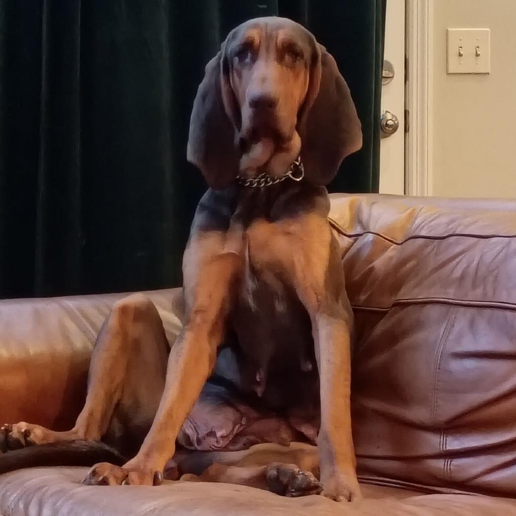 Charlotte thumbnail 3