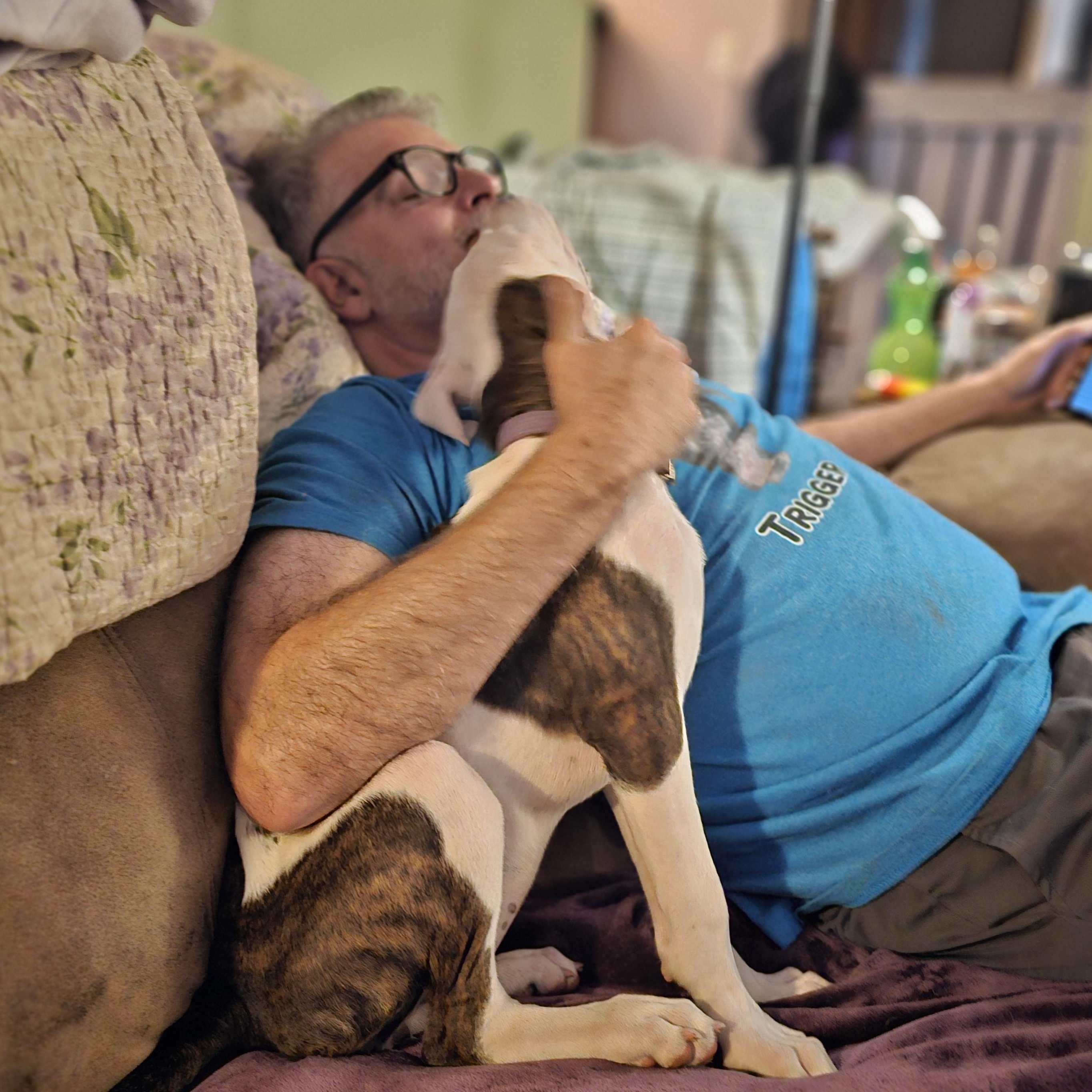 Enlarge Ghost Face "Ghosty", a Adopted mixed breed in Newcastle, OK image 4/5