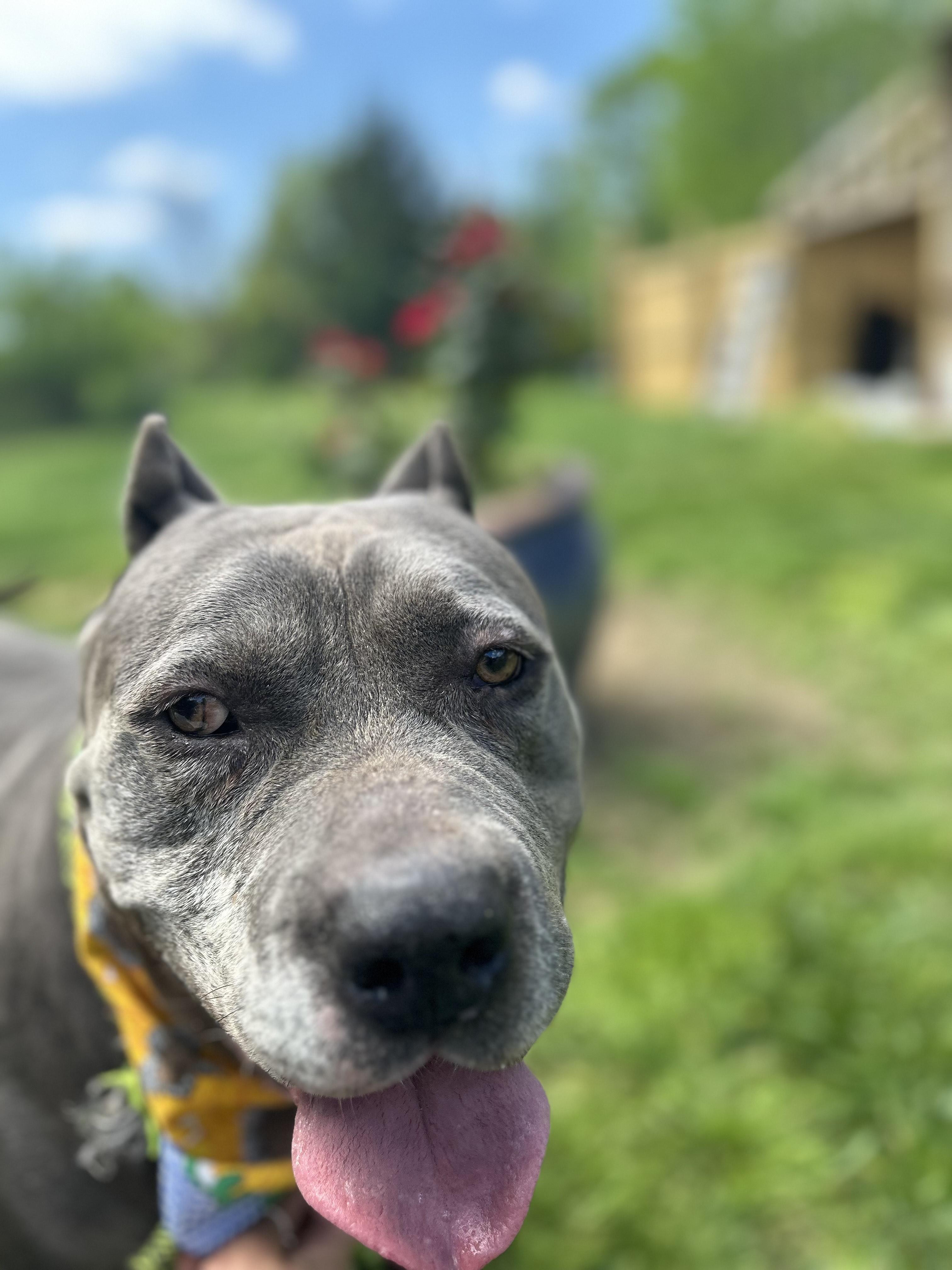 Zeus AKA Richard AKA Monster