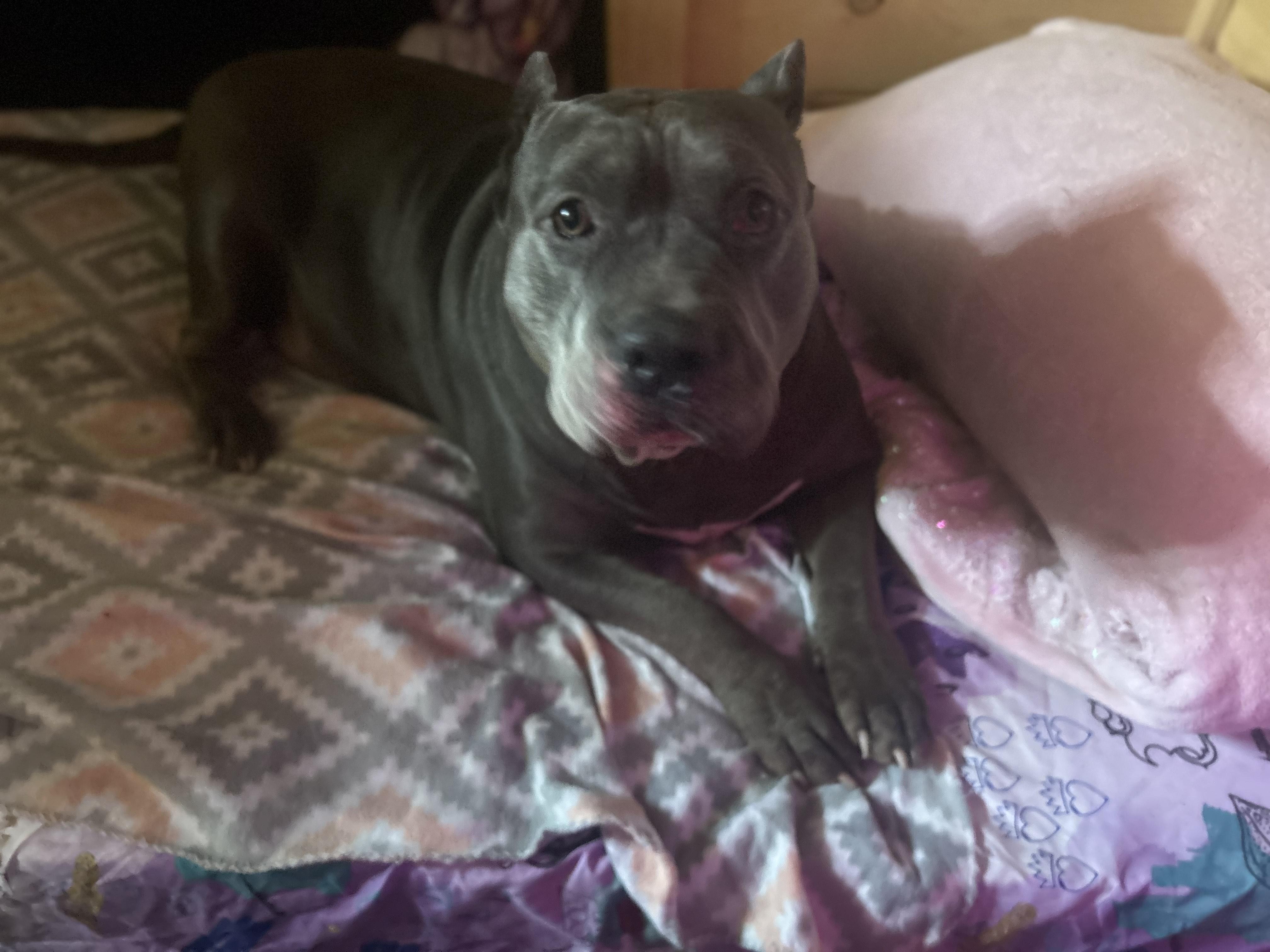 Zeus Aka Richard Aka thumbnail 3