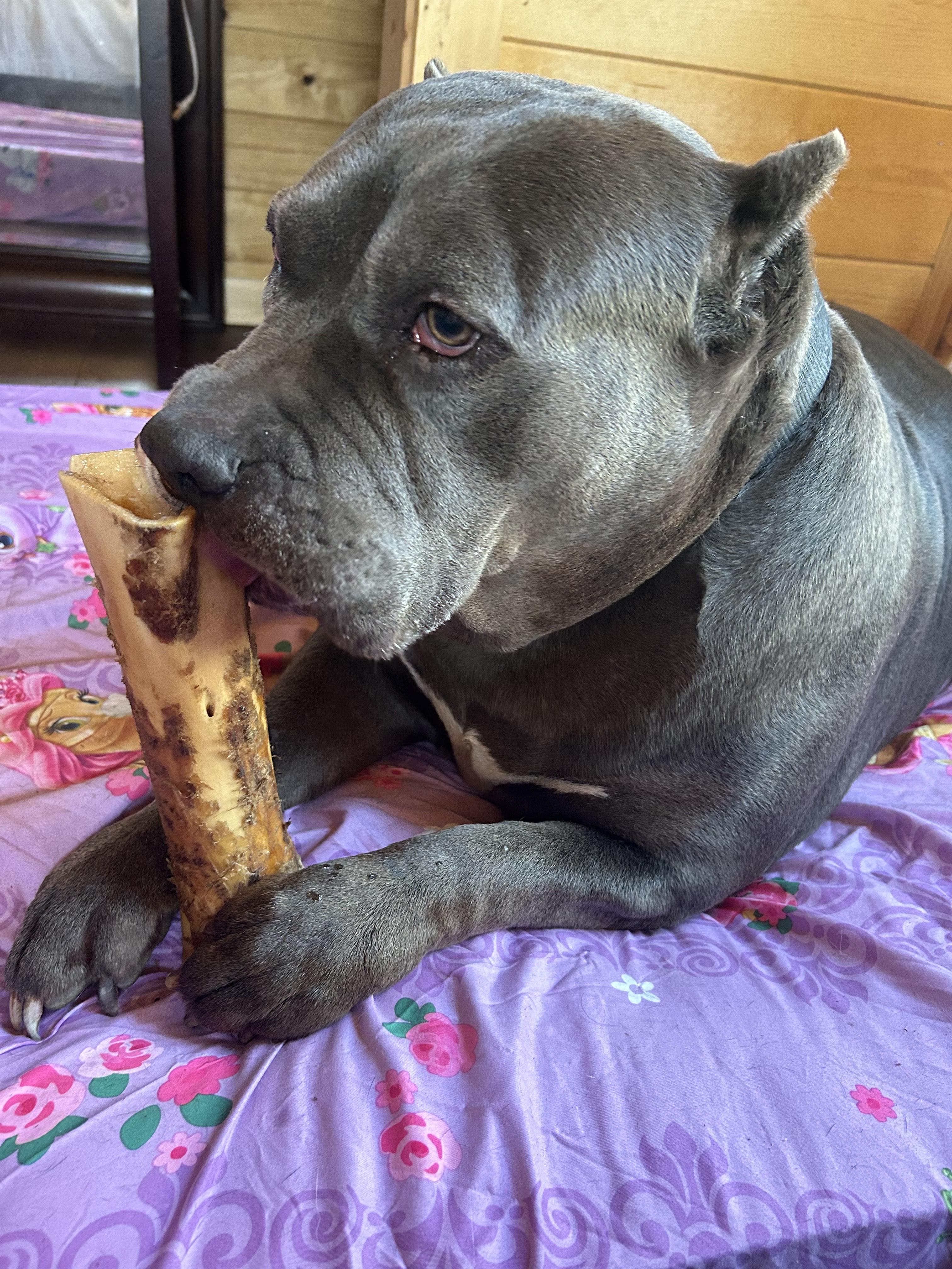 Zeus AKA Richard AKA Monster