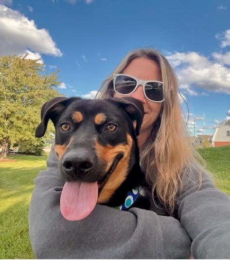 Lottie, Adoptable, Young Female Rottweiler & Retriever.