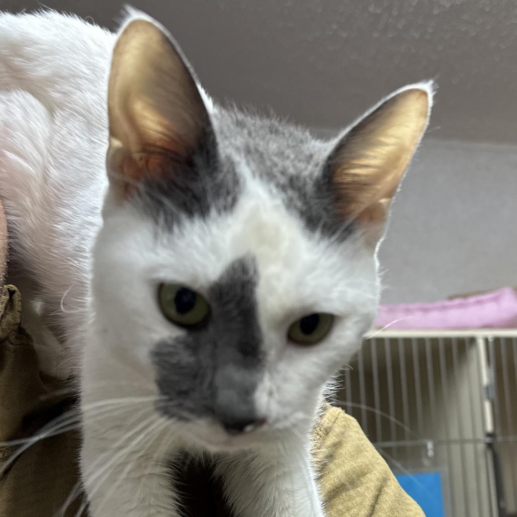 Frostbite — thumbnail 2