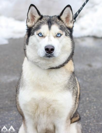 Mila — thumbnail 2