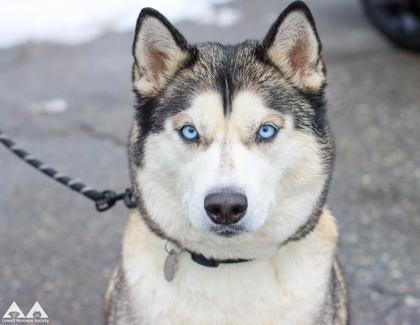 Mila — thumbnail 3