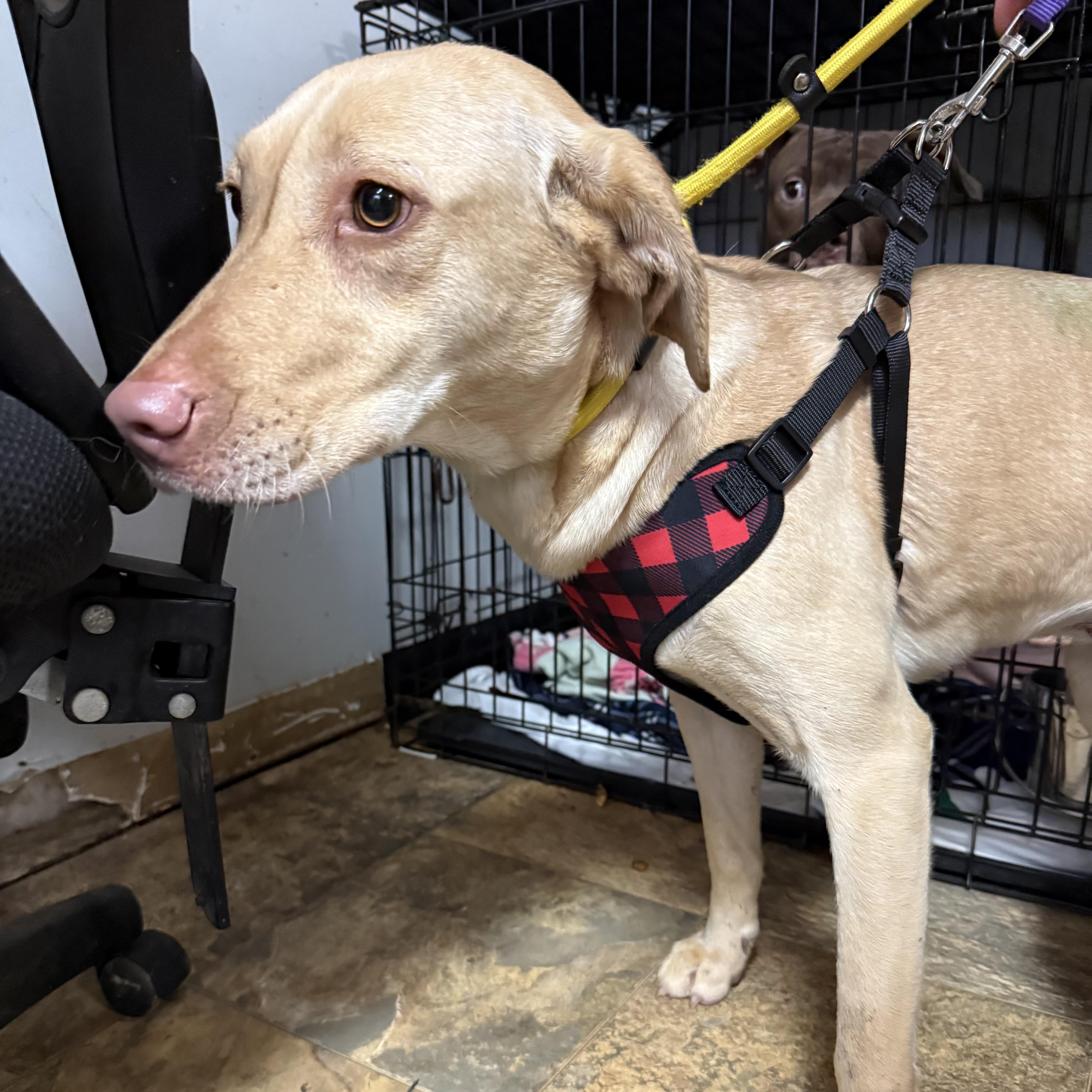 Wendy Williams — thumbnail 2