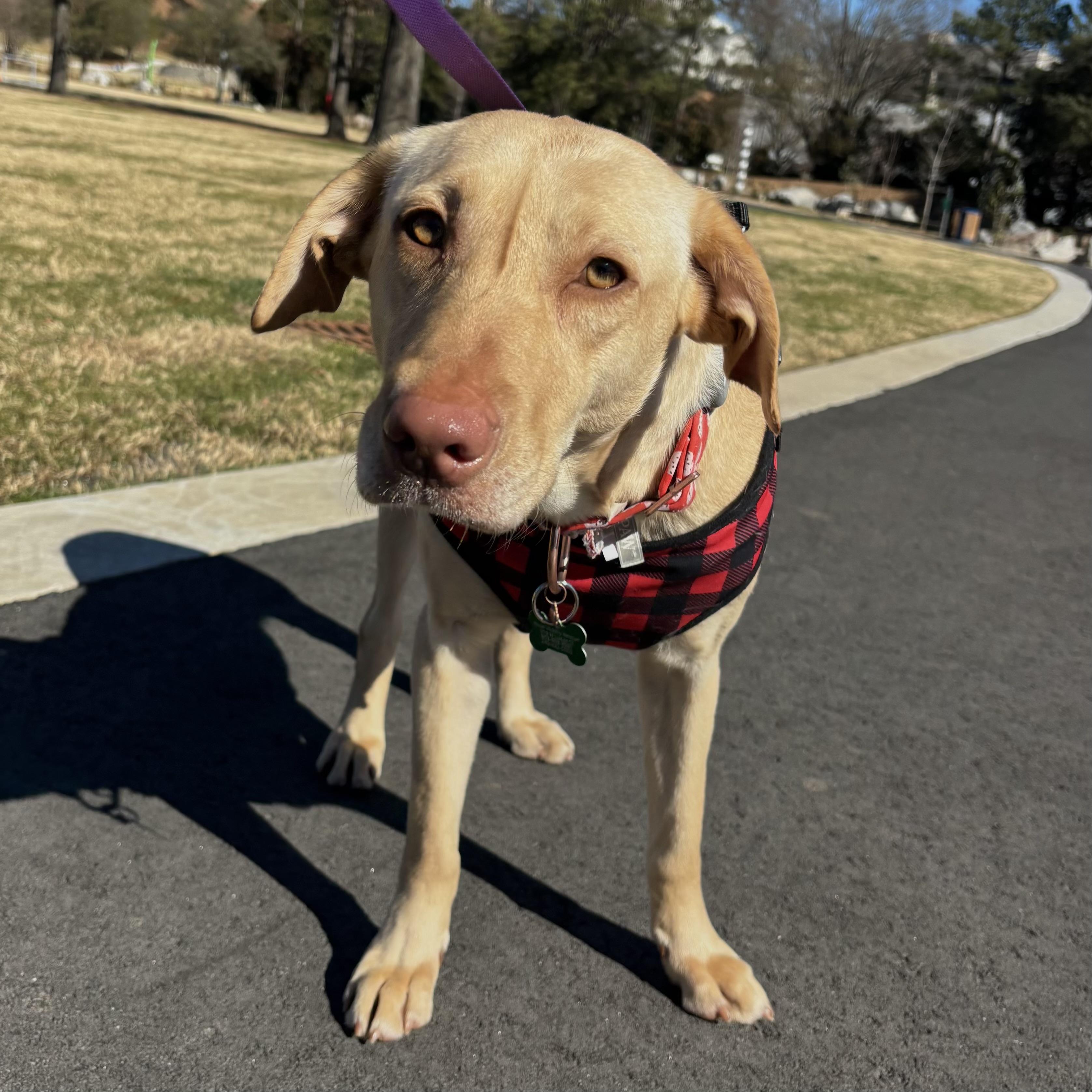 Wendy Williams — thumbnail 3