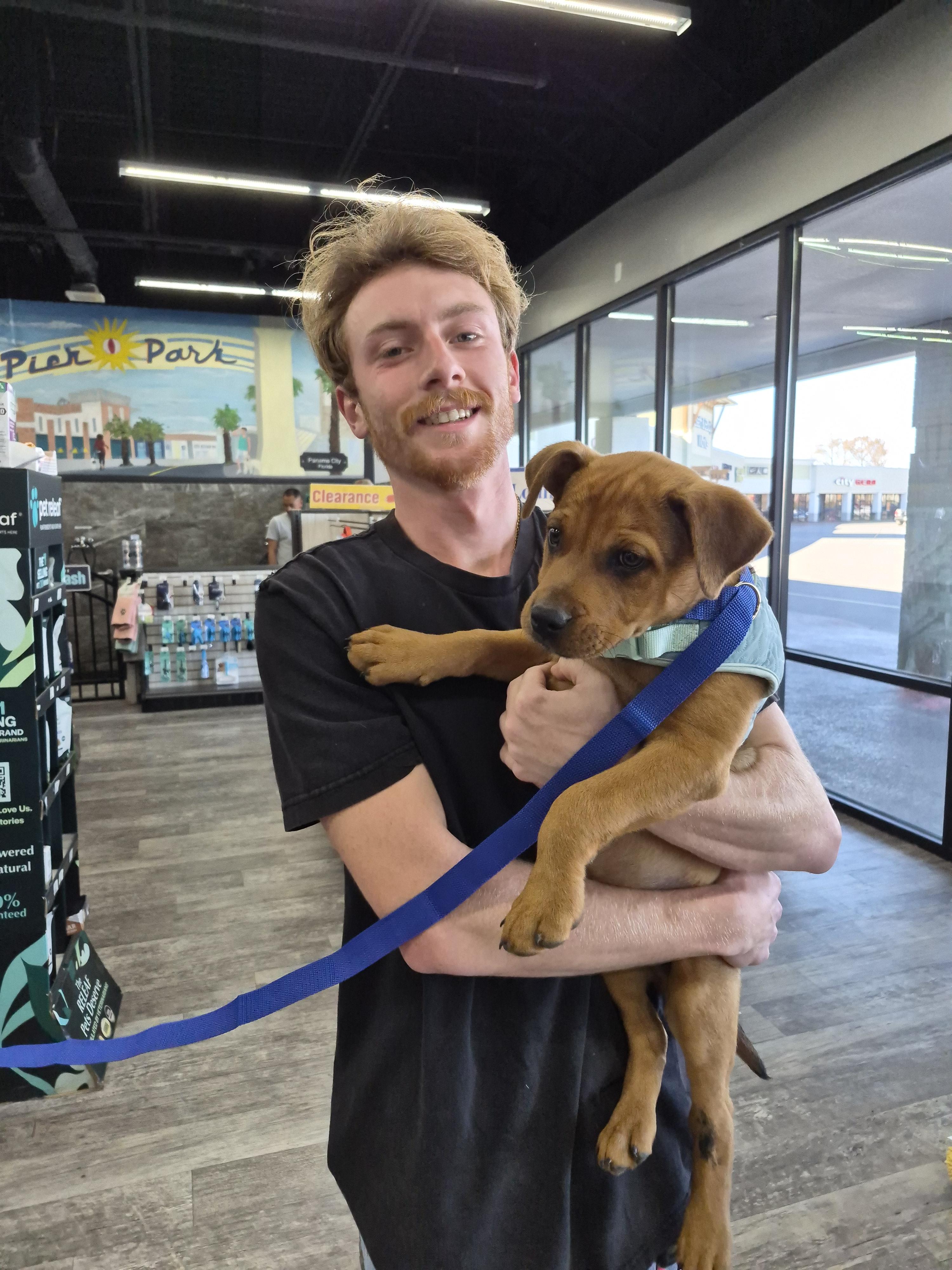 Enlarge Dexter, a Adopted mixed breed in Panama City, FL image 2/3