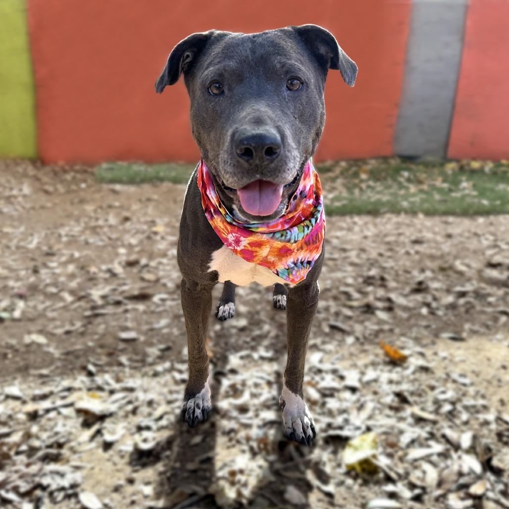 Kiki — thumbnail 5