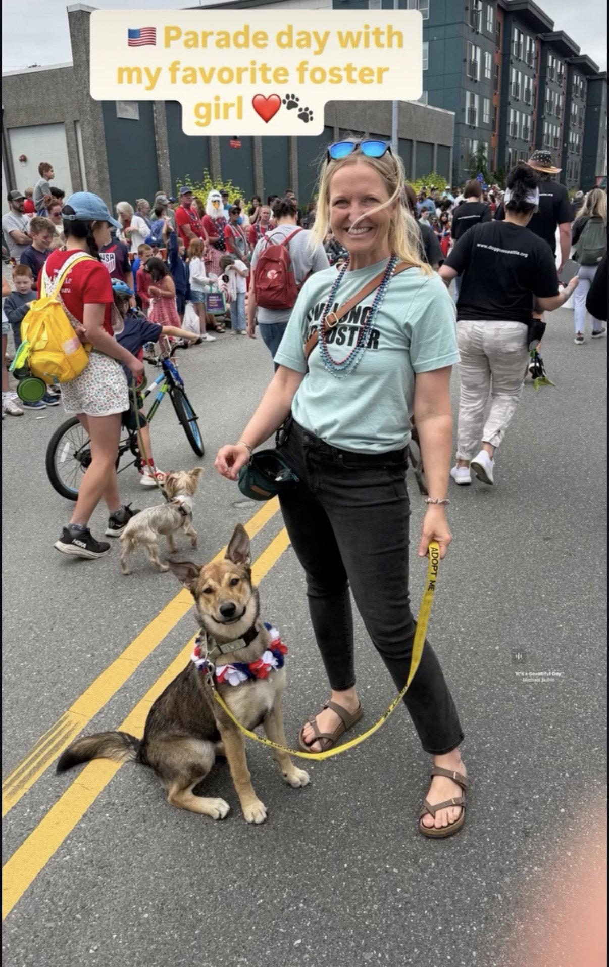 Venus, Adoptable, Young Female German Shepherd Dog & Australian Shepherd.