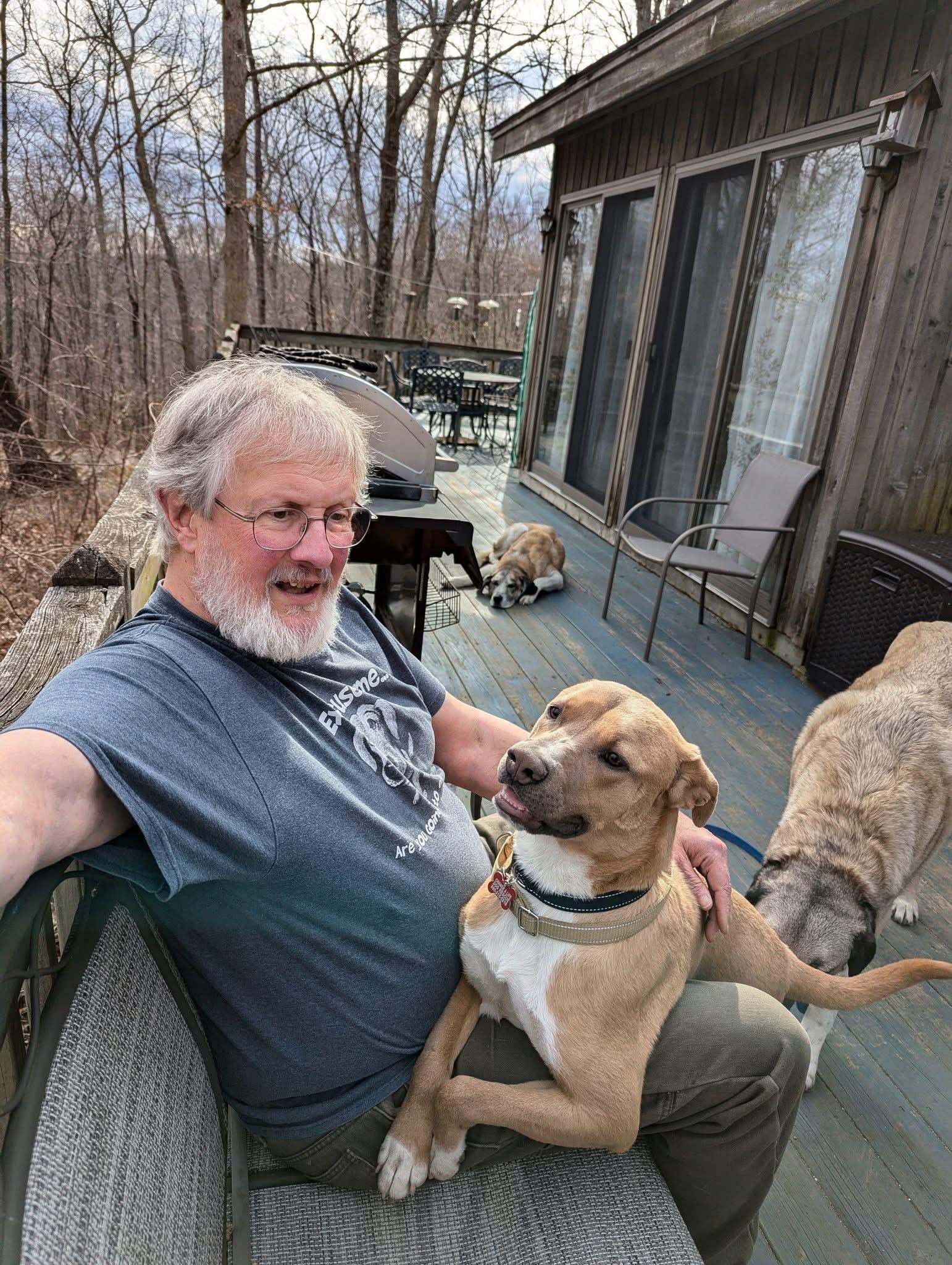 Enlarge Bratwurst, a Adoptable mixed breed in East Haddam, CT image 1/4