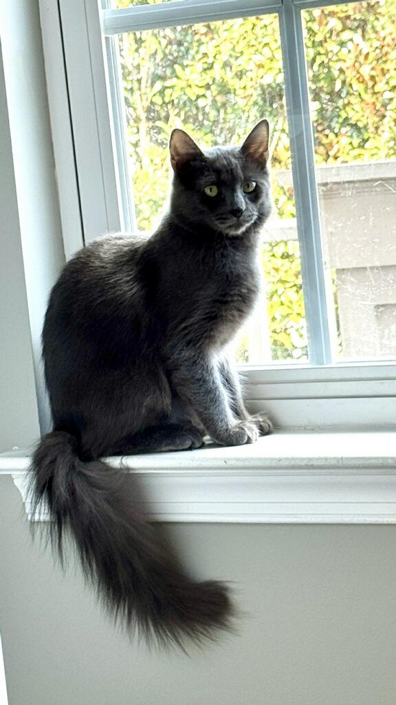 Selina (ID 47418/2192)