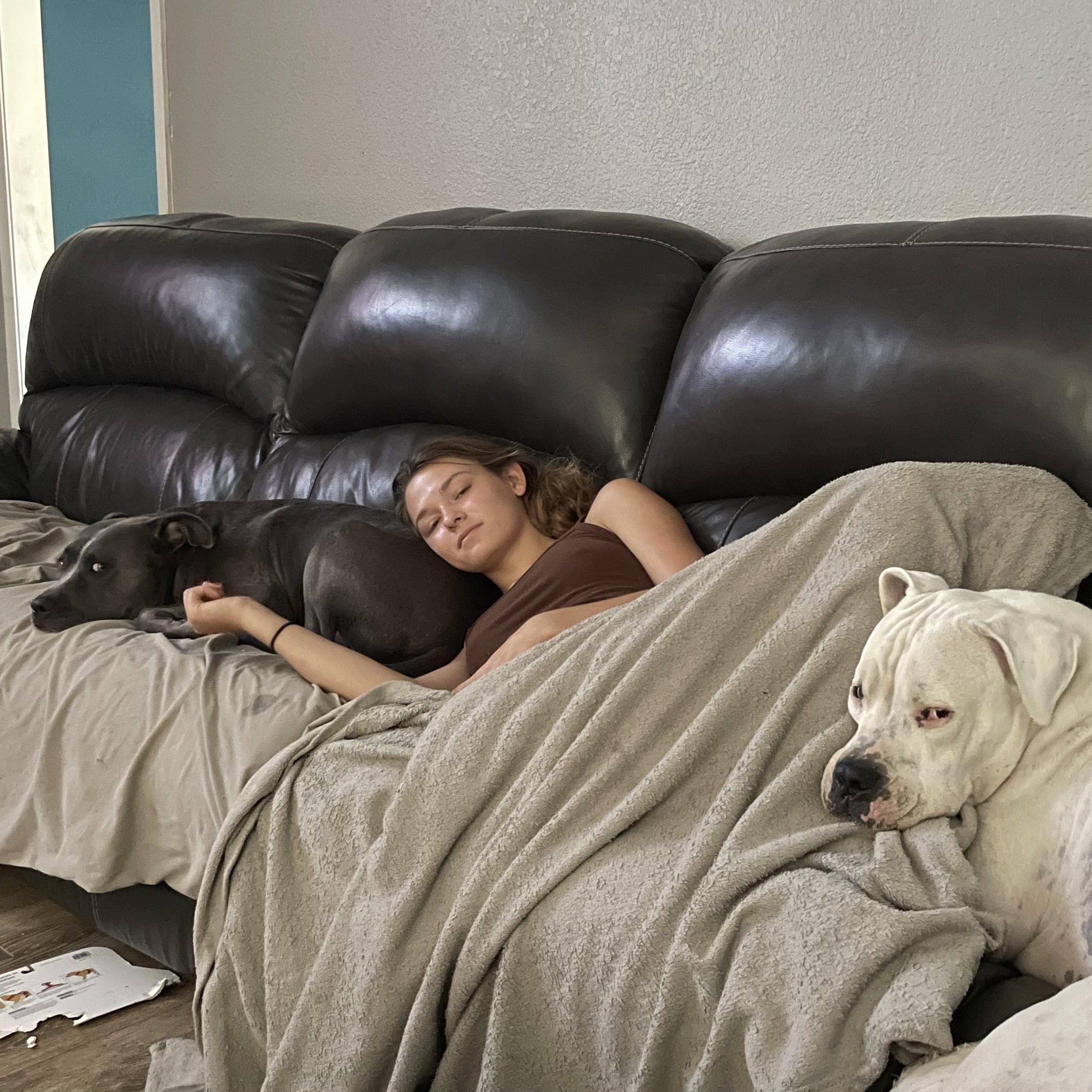 Frankie — thumbnail 4