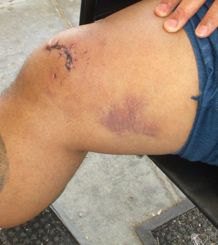 Enlarge Tiny Tim, a Adoptable Pit Bull Terrier in Tehachapi, CA image 1/4