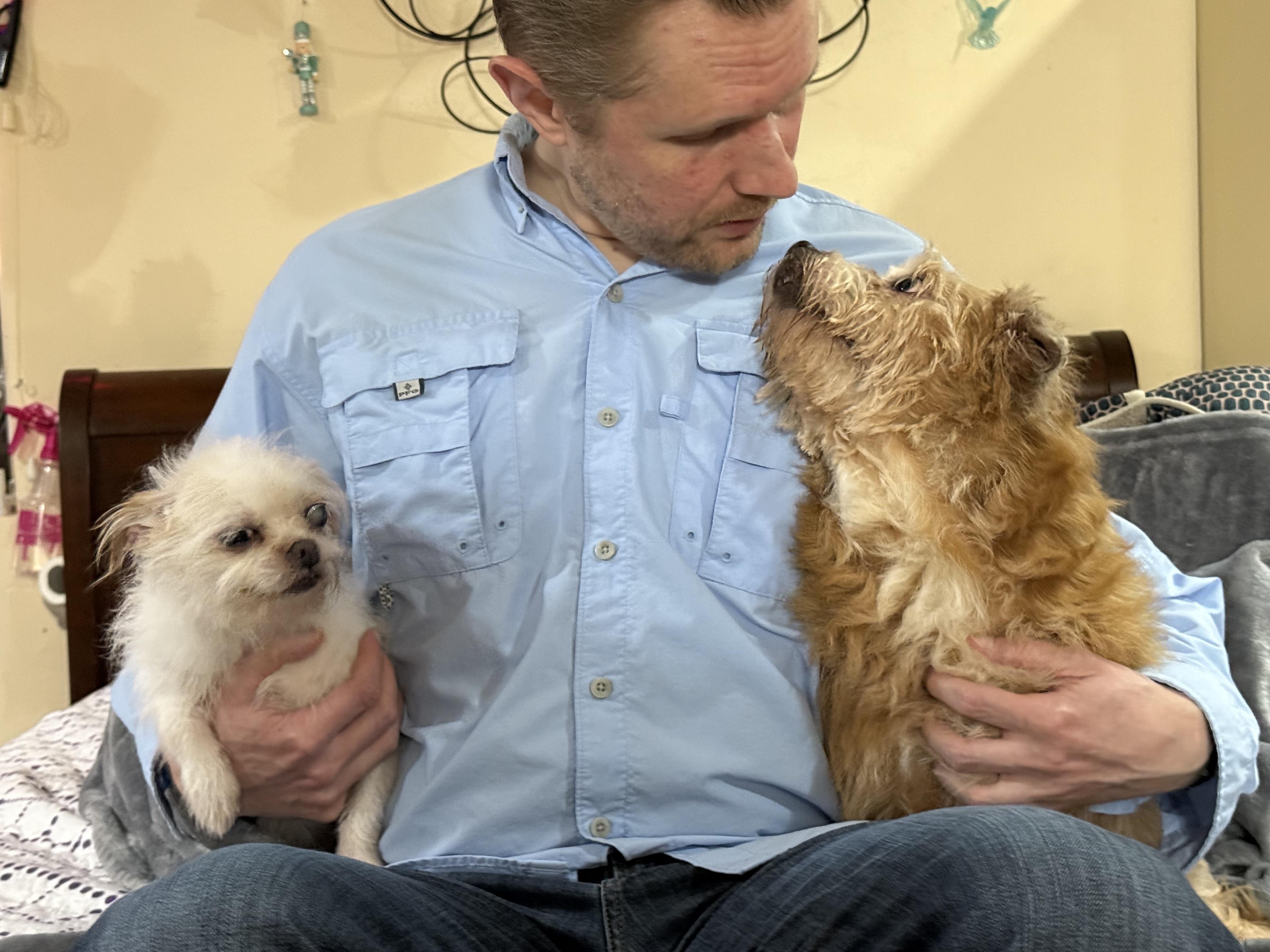 Misty & Lulu, a Adoptable mixed breed in Bellevue, WA image 4/6