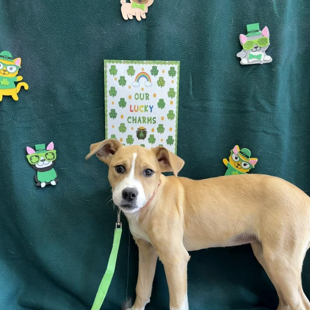 Debby — thumbnail 2