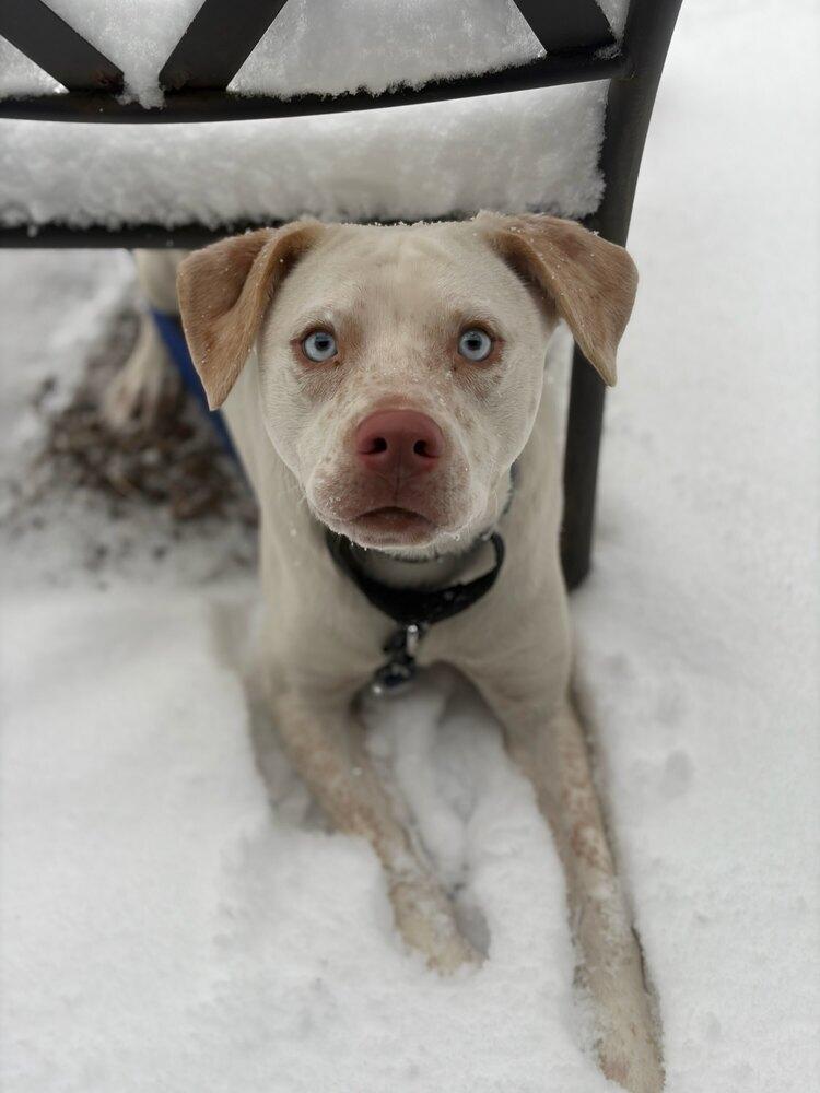 AC - Aero — thumbnail 4