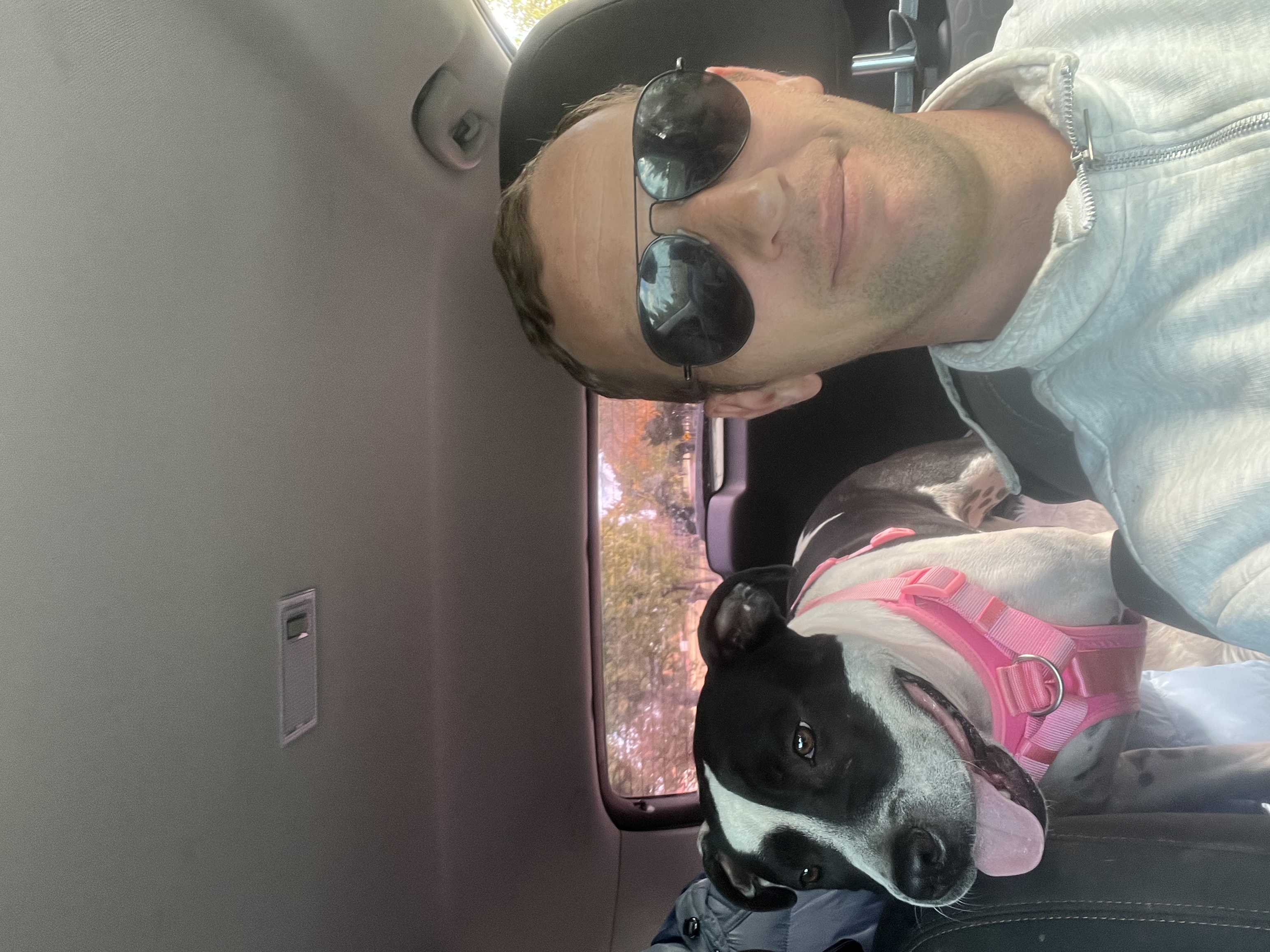 Enlarge Patches, a Adoptable mixed breed in Pilot Point, TX image 4/6