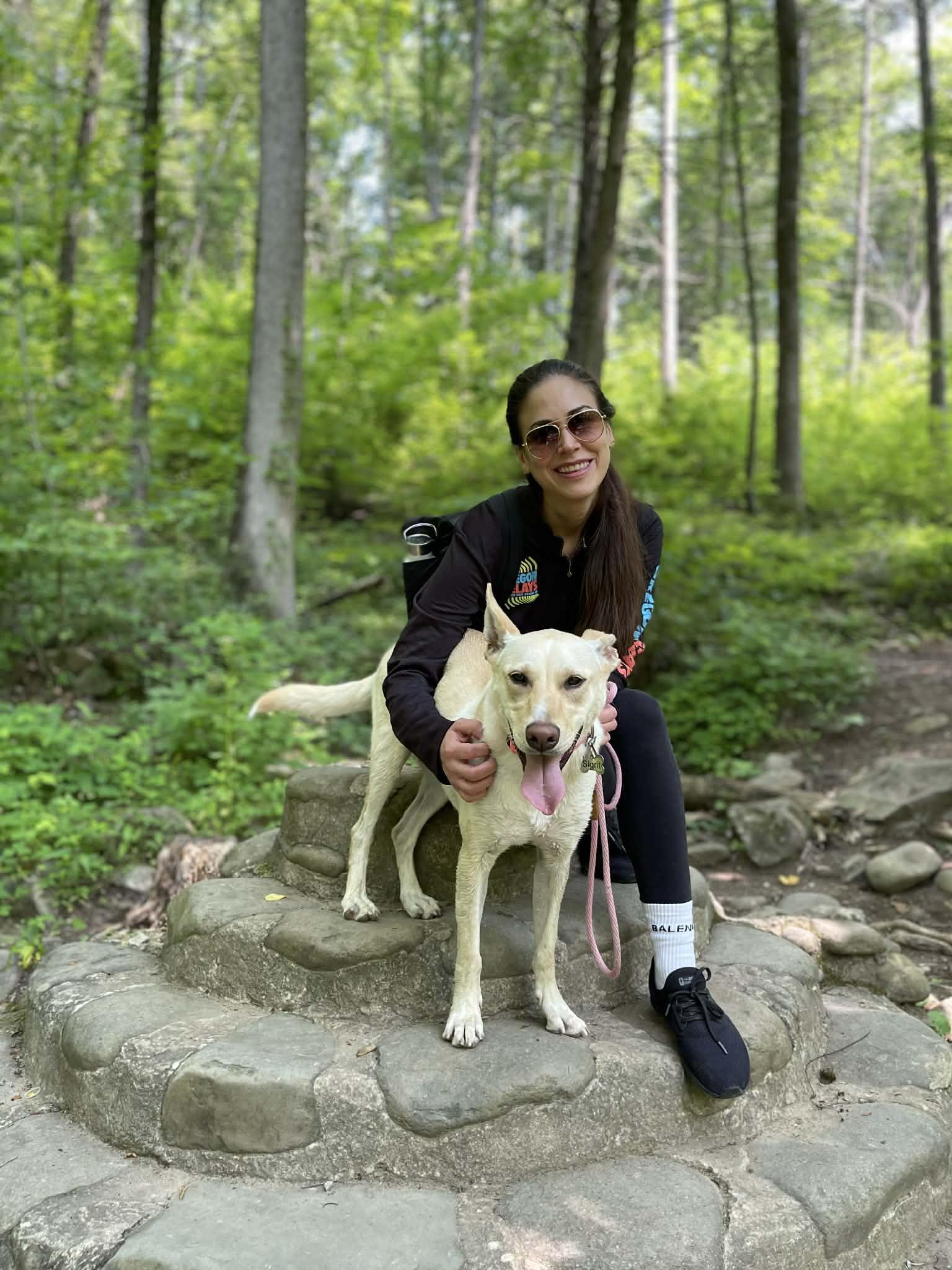 Enlarge Sigrit 4 year old Female Carolina Dog - Microchipped, up to date on shots, house trained, a Adoptable Carolina Dog in St Louis, MO image 1/6