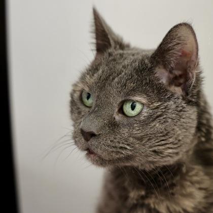 Stacey — thumbnail 2