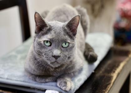 Stacey — thumbnail 3