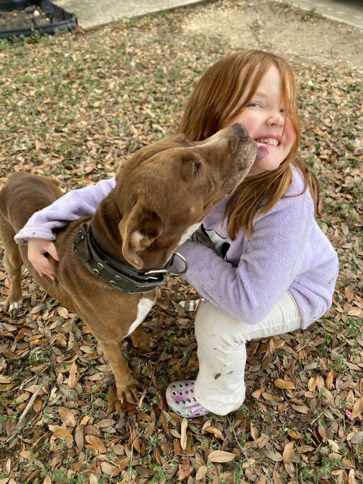 Buddy, a Adoptable mixed breed in Syracuse, NY image 6/6