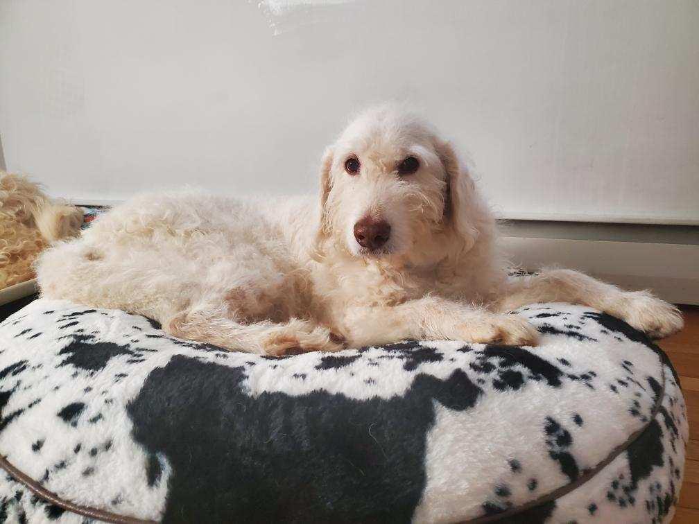 Zach And Zoey thumbnail 2