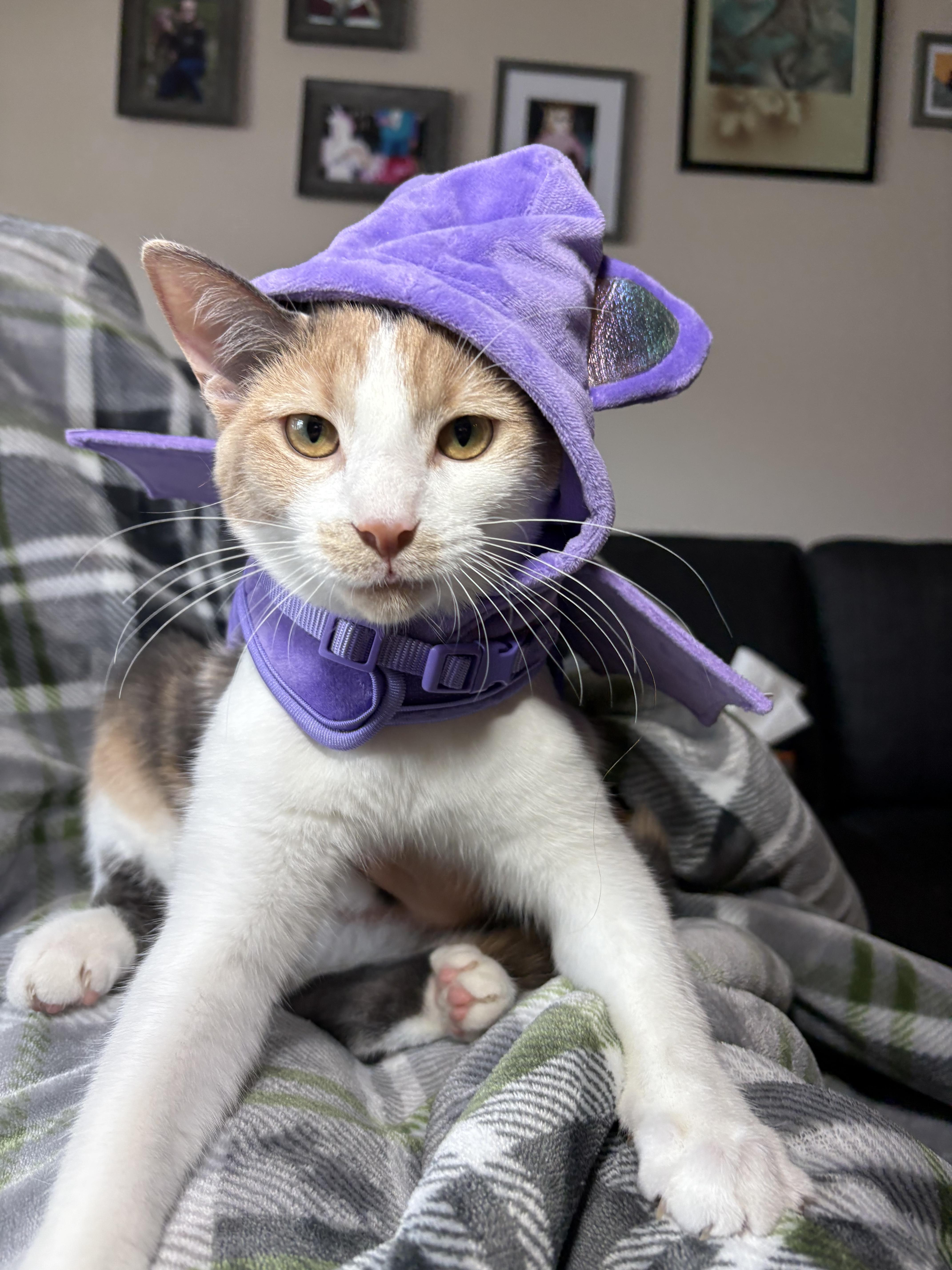Octavia