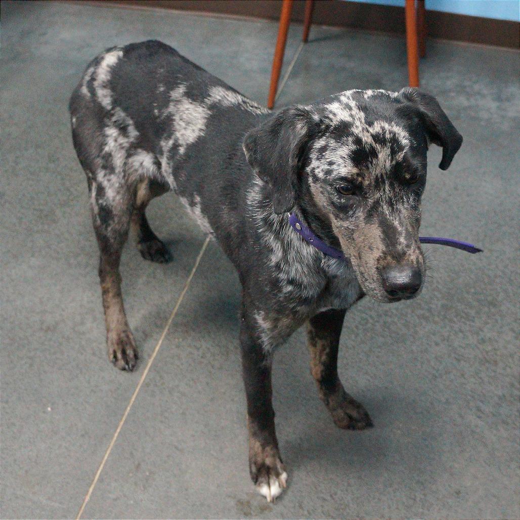 Vicky — thumbnail 4