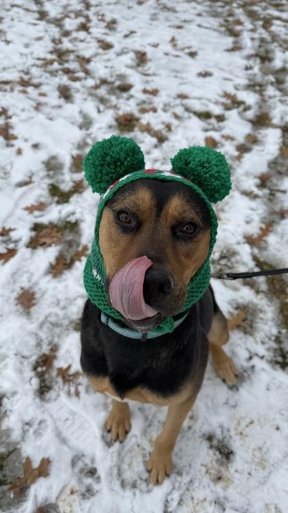 Schwartz — thumbnail 3