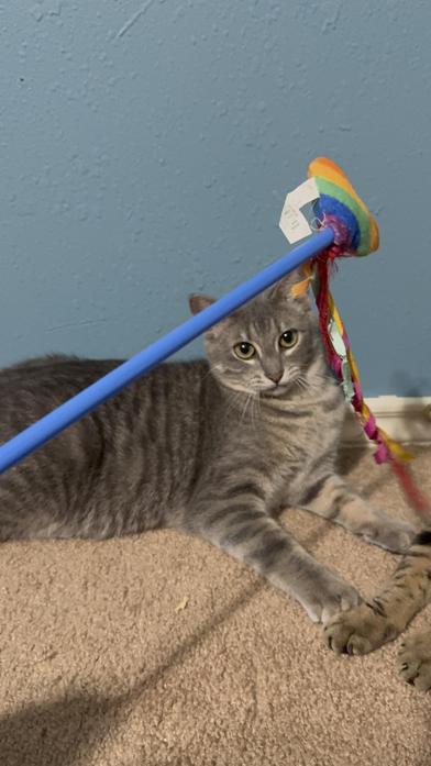 Delilah — thumbnail 5