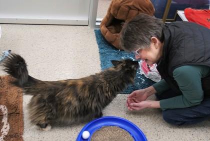 Pria — thumbnail 5