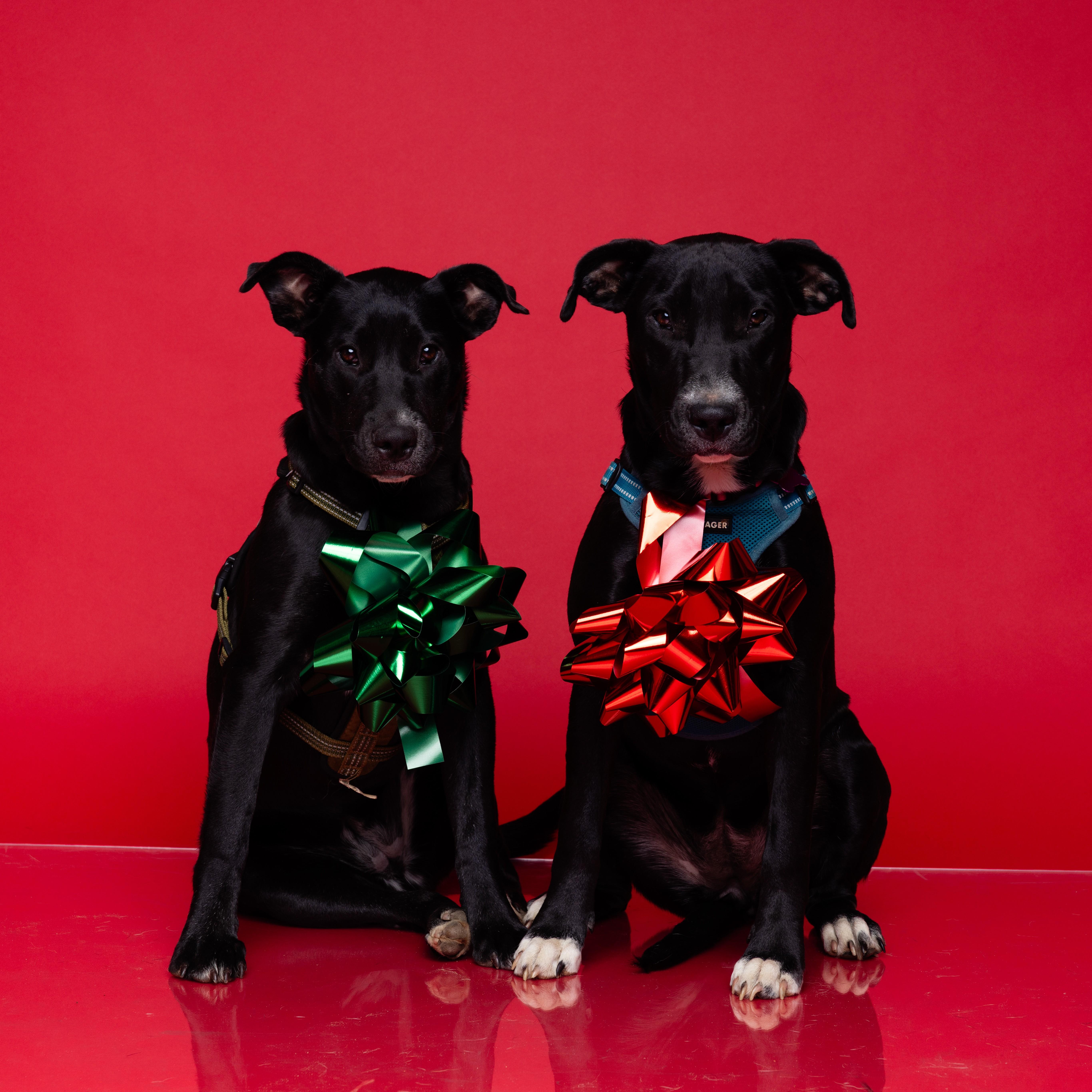 Steam — thumbnail 3