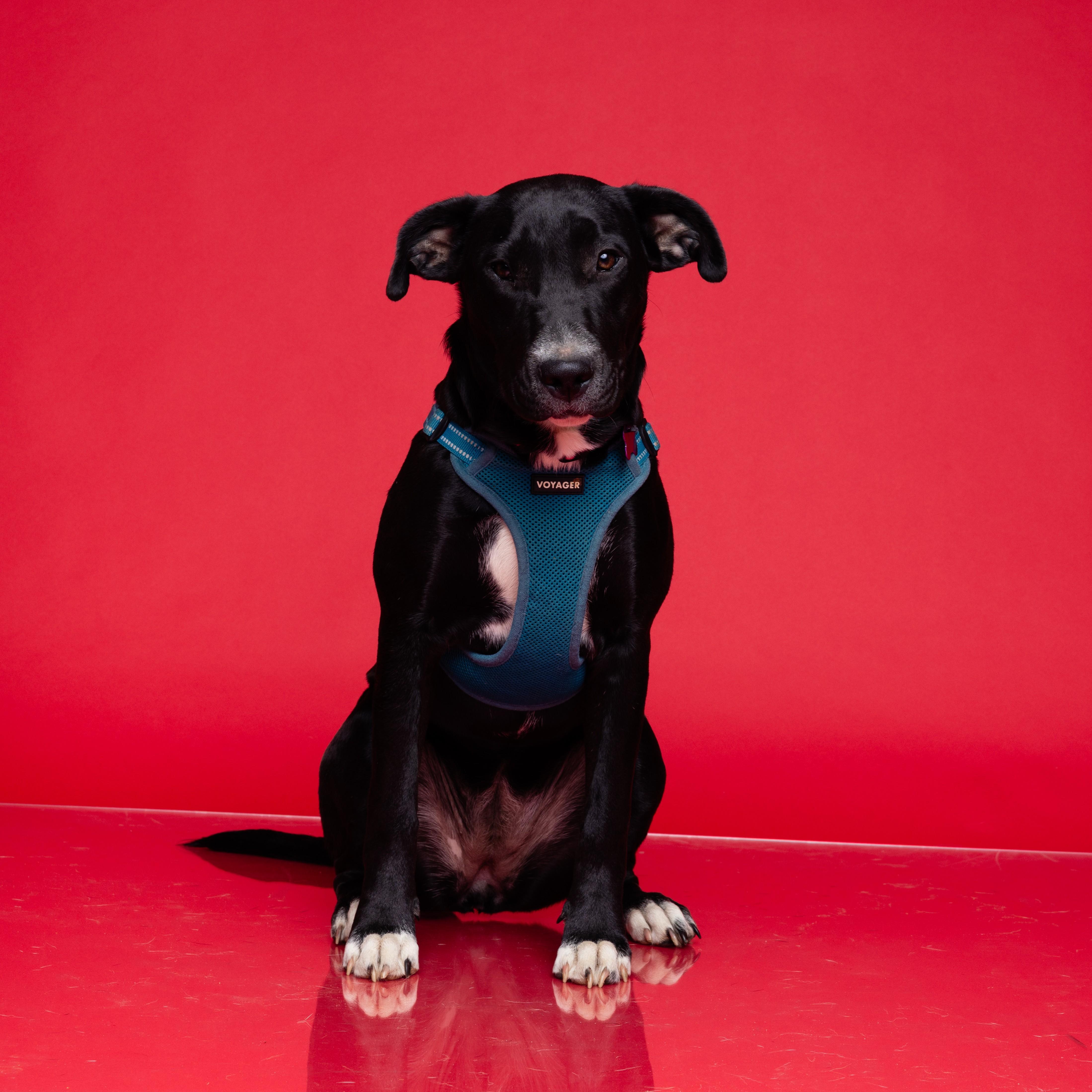 Steam — thumbnail 4