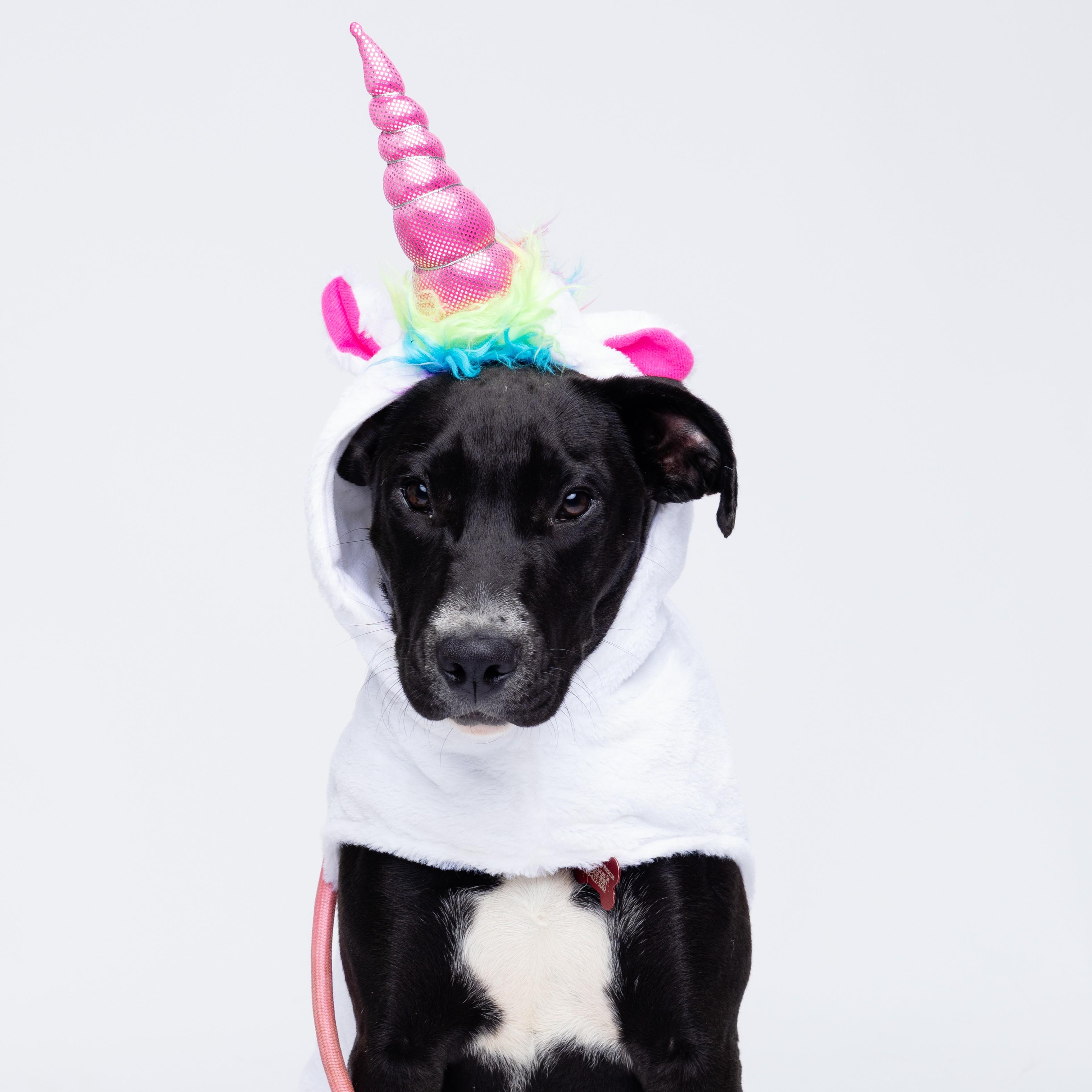 Steam — thumbnail 6