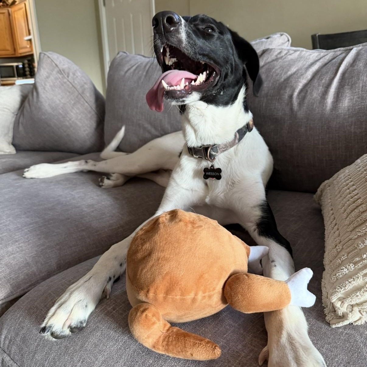 Wesson — thumbnail 2