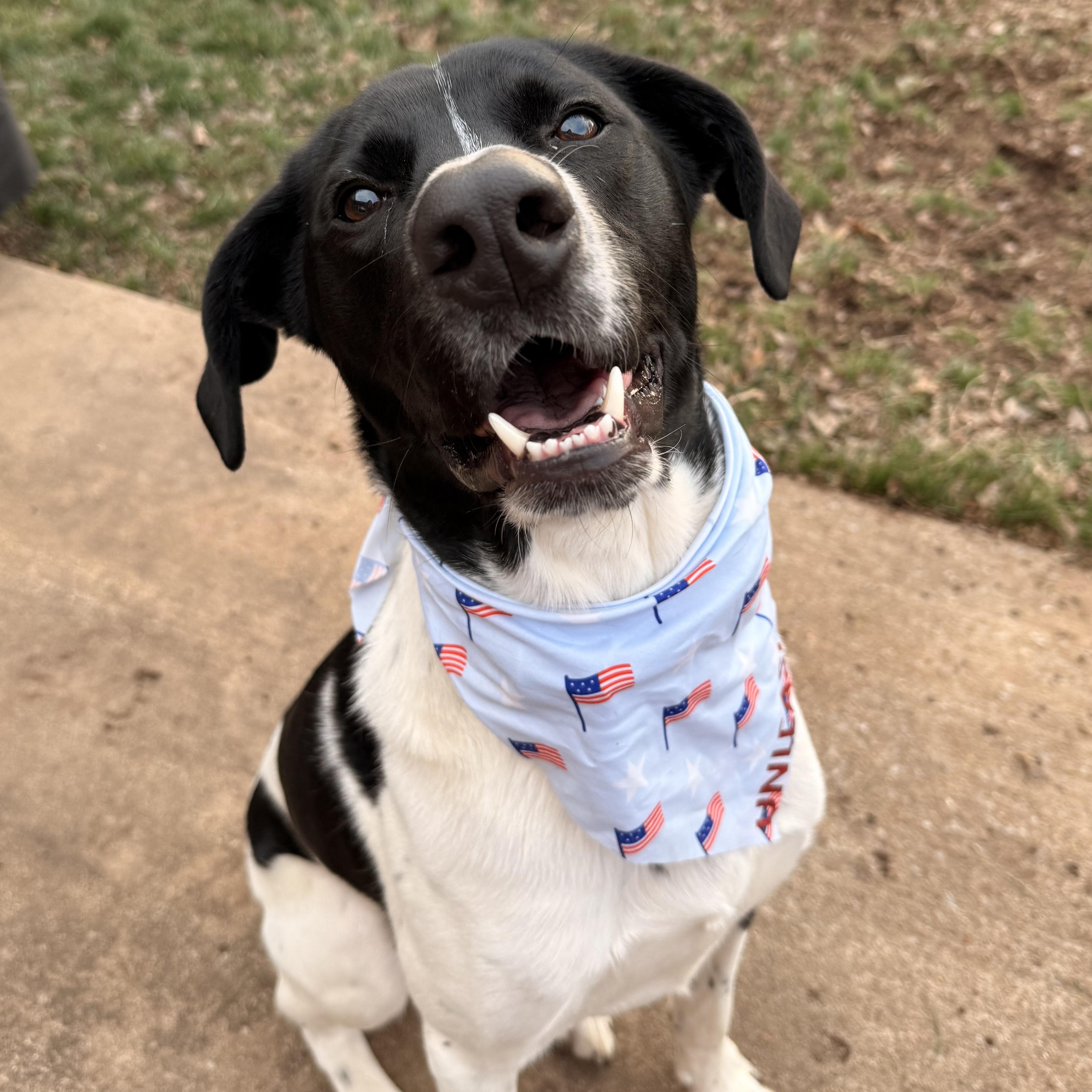 Wesson — thumbnail 5