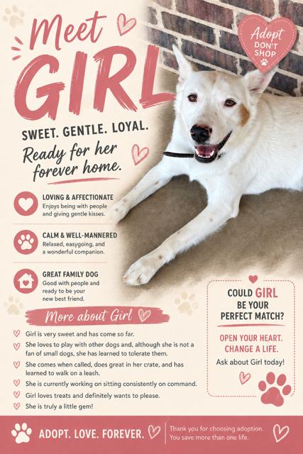 GIRL, a Adoptable mixed breed in Dallas, TX image 3/3