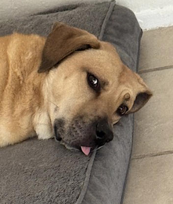 Chulo — thumbnail 2