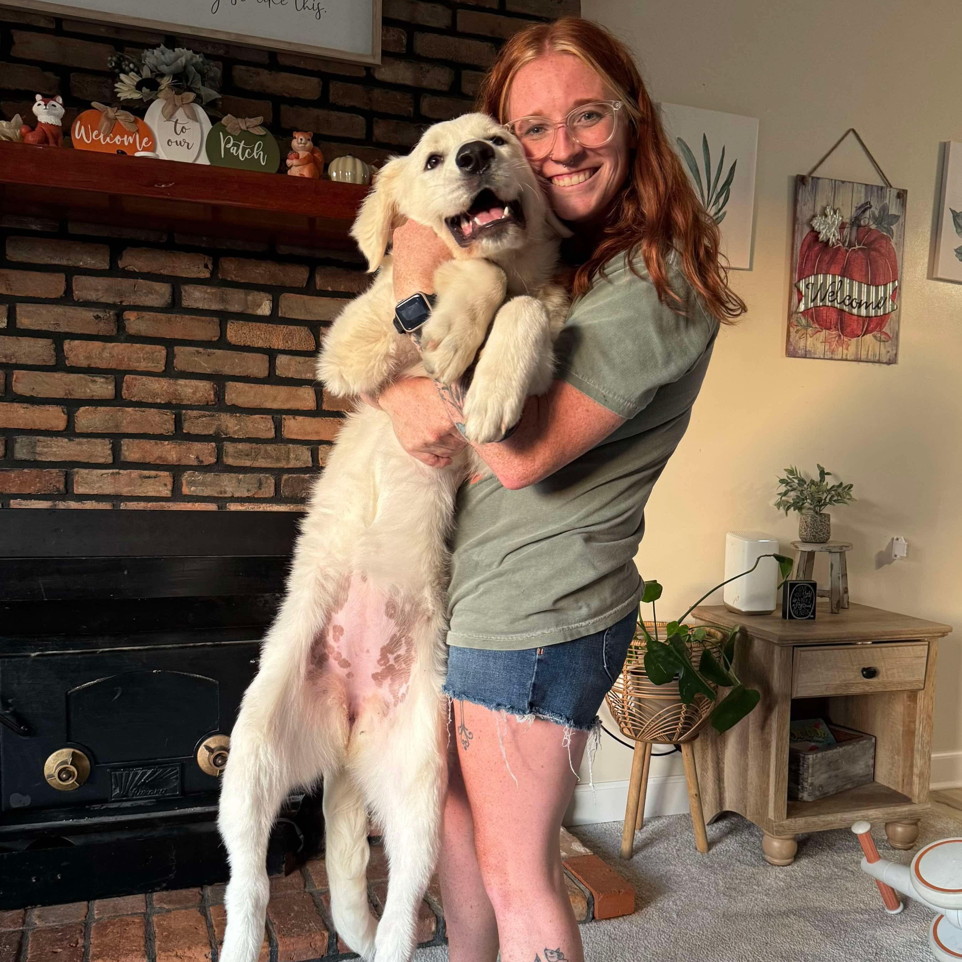 Enlarge Aspen - New to Rescue - Puppy, a Adoptable mixed breed in Indianapolis, IN image 6/6