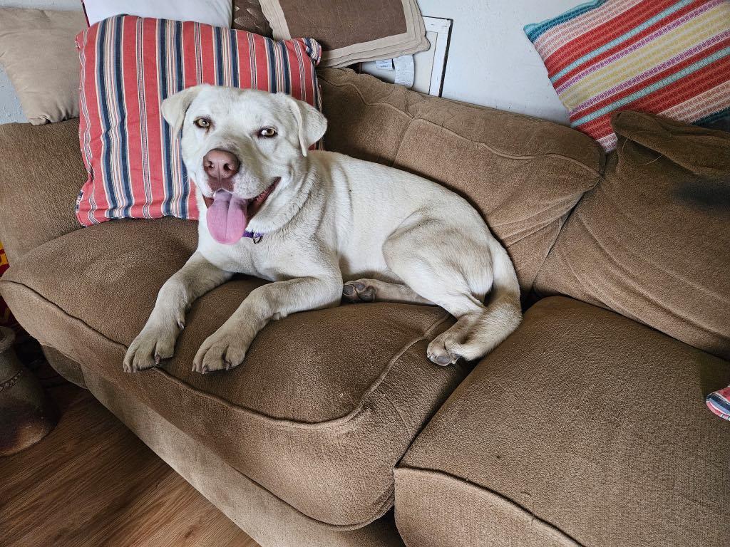 Buddy photo 2
